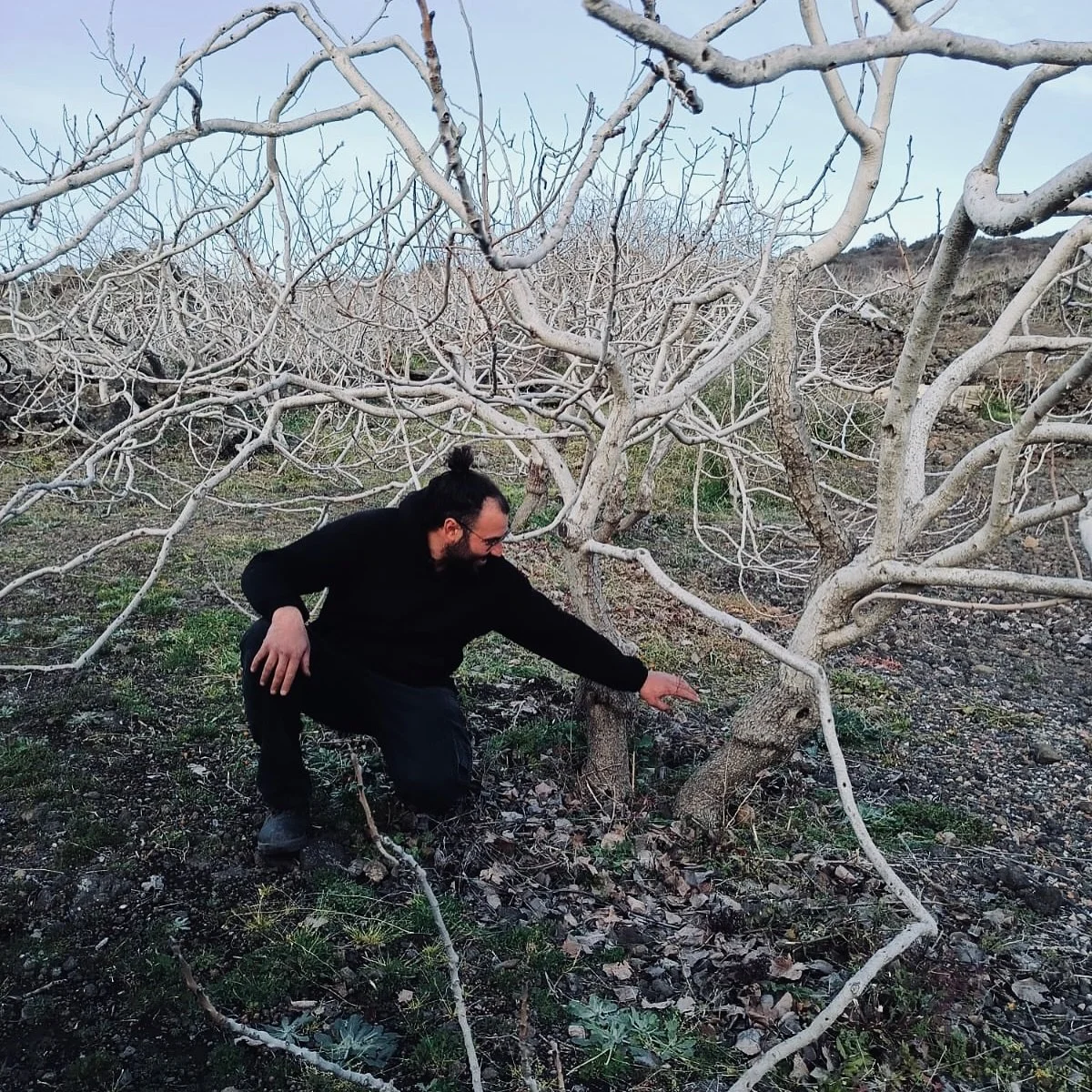 Thank you so much @usi_accademia for the wonderful meeting at our pistacchio farm. Great discussion about landscape, agriculture and future. Very honored to show our way of thinking about farming, about countryside as a possible centre for a sustaina