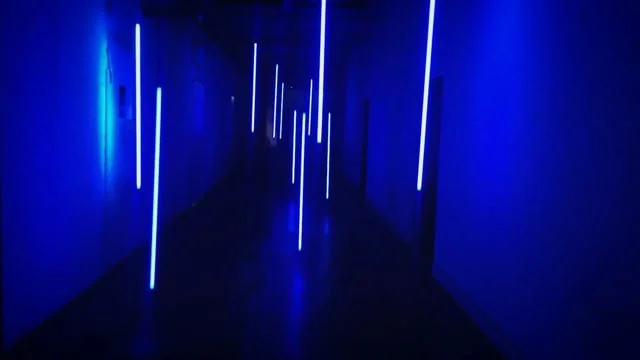 Roger Dubuis | Magnetic