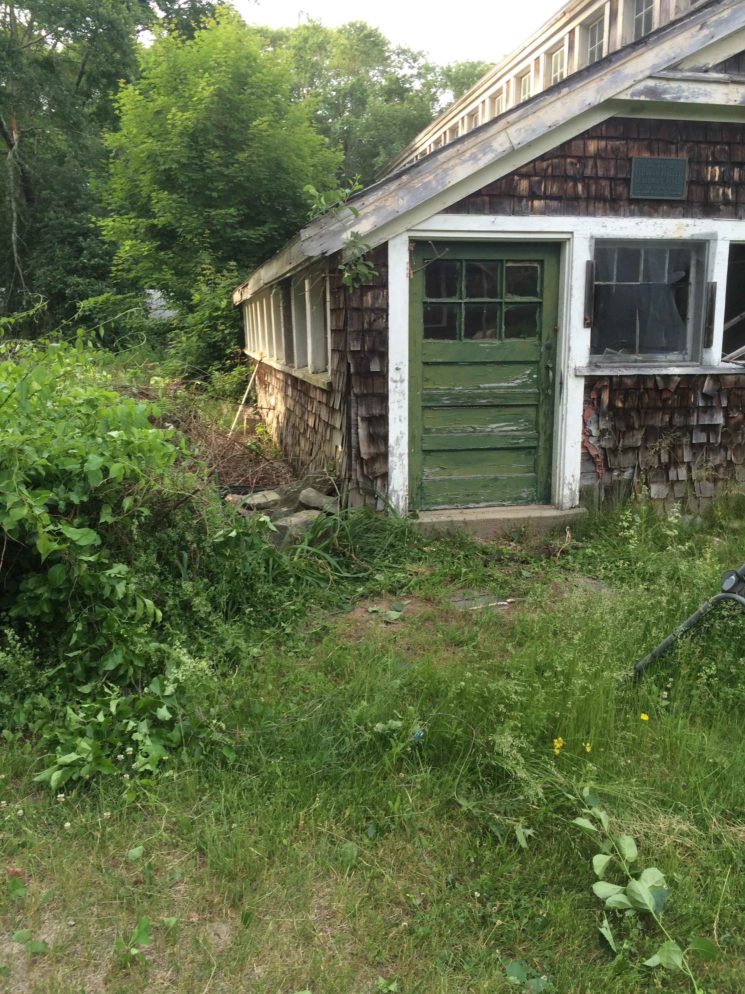 Half an hour of fighting with vines later...hey, look, there's the corner of a barn!