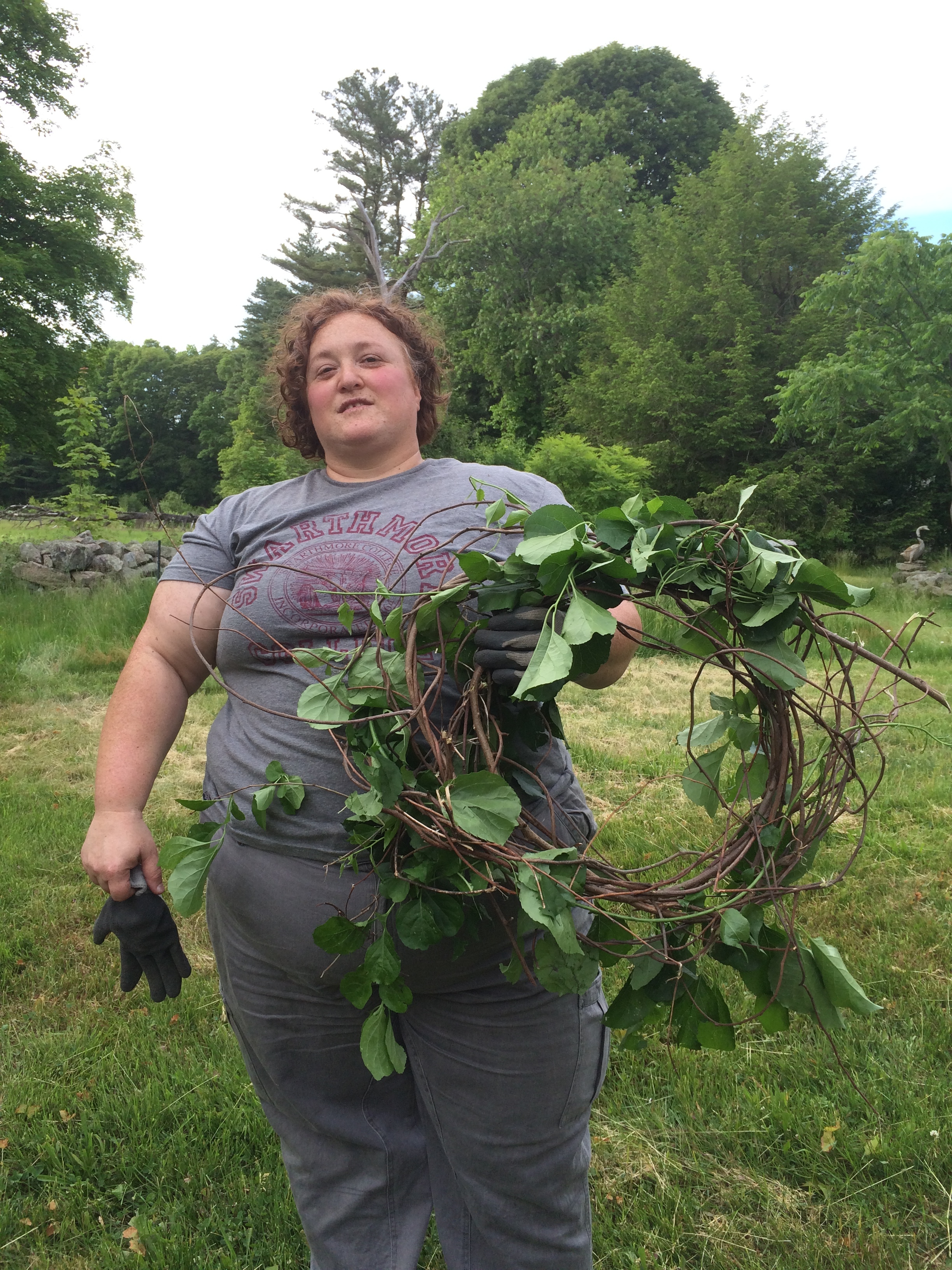 Coil up enough invasive vines, you'll have a wreath.