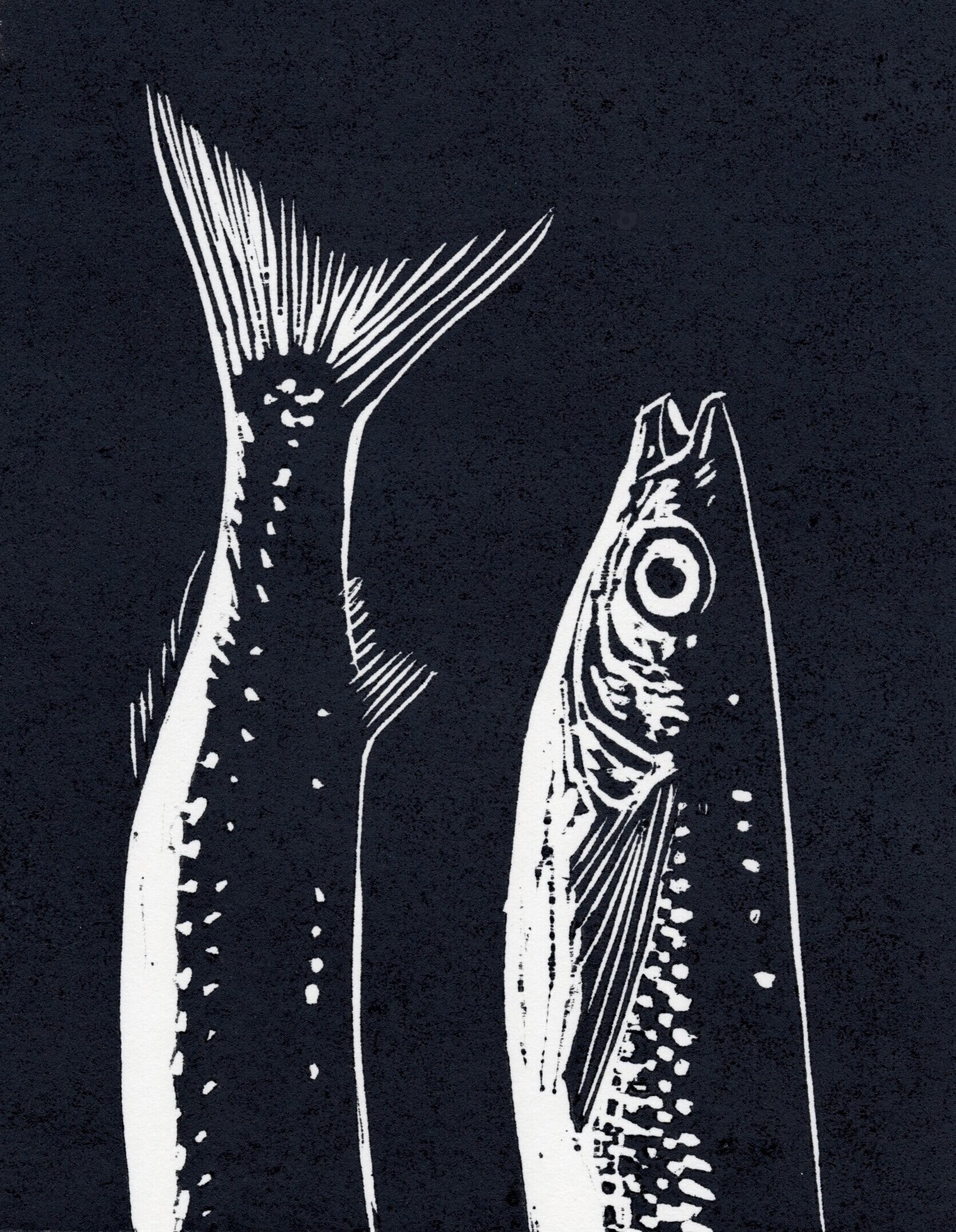 Two+Smelt+crop.jpg