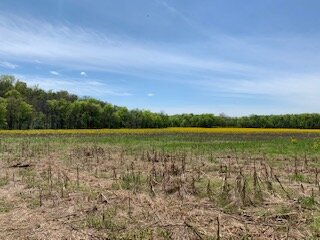 Family Farm - Plenty of room to spread out and isolate!