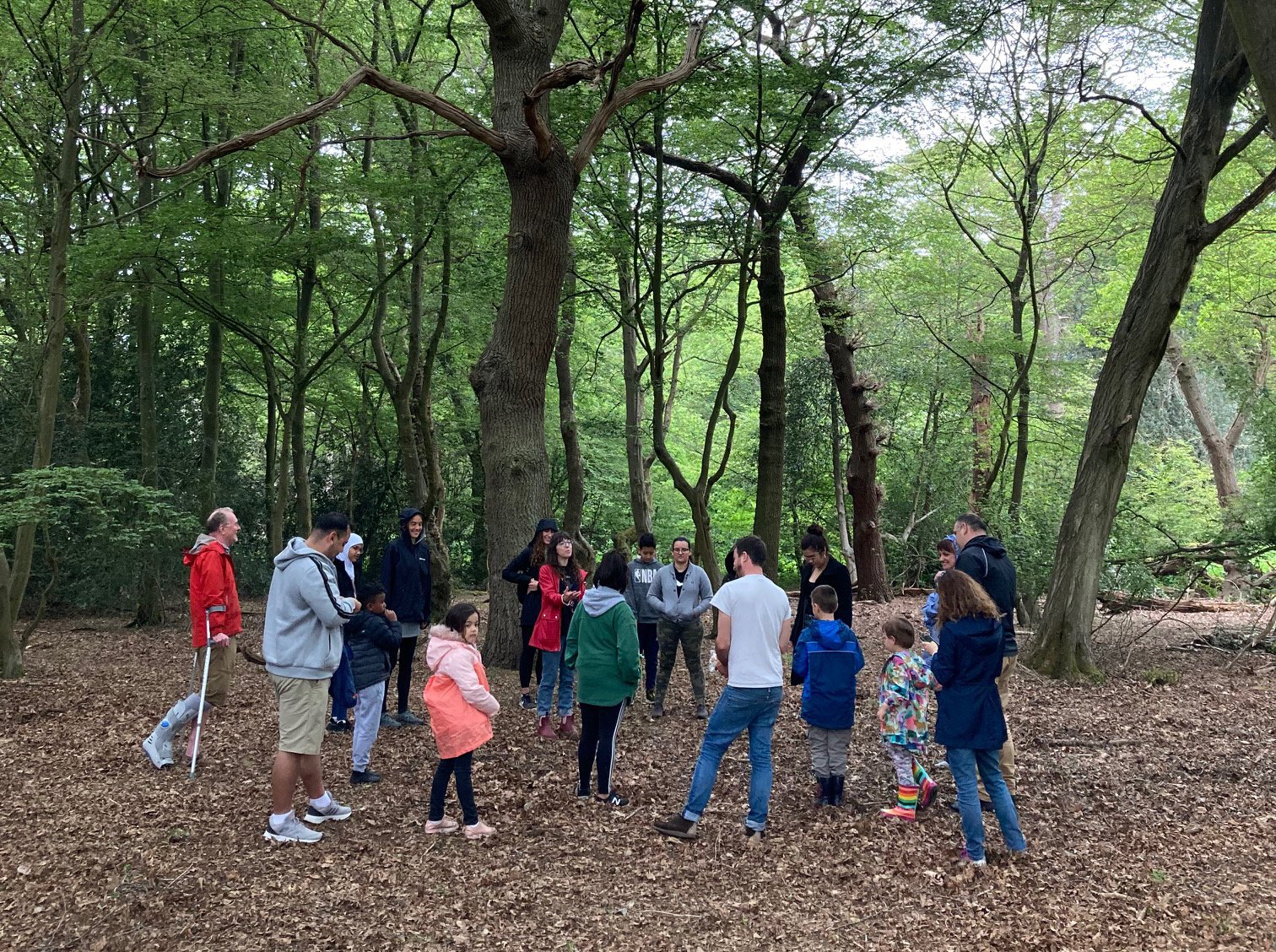 Urban Tree Festival
