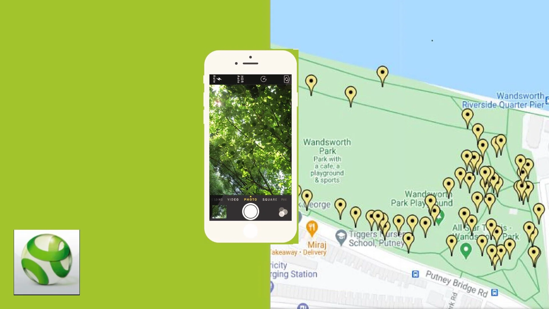 Create a Tree Trail — Urban Tree Festival