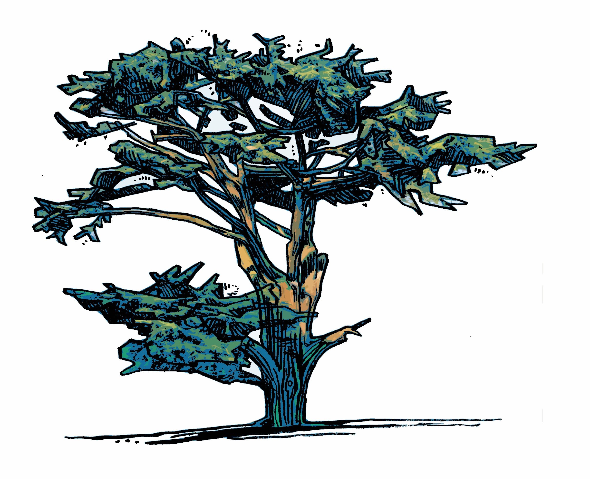 The Norwegian Spruce Seeds of the Svalbard Vault - Rosaleen Lynch 