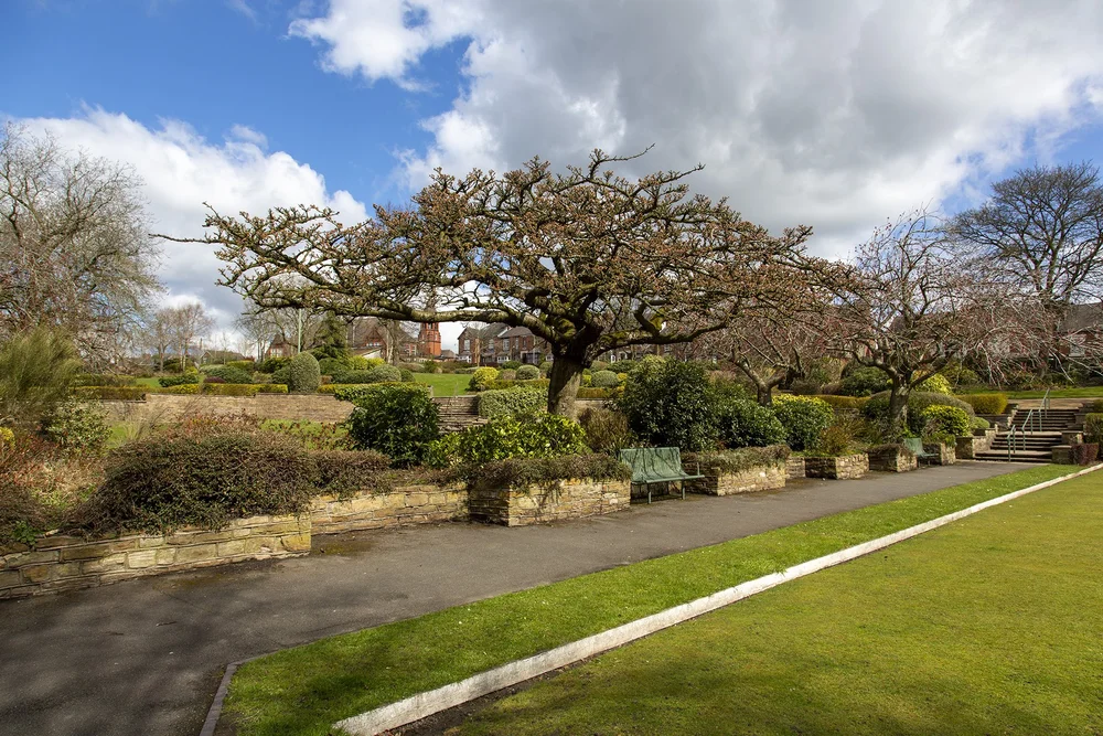 Daily Urban Trees — Urban Tree Festival