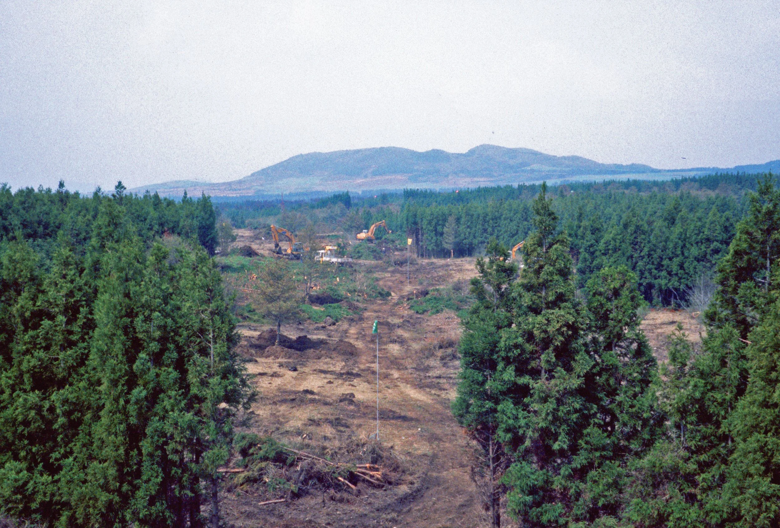 Step 6: Environmental Planning Principles, Routing the Golf Course, Surveying, Site Preparation, and Clearing