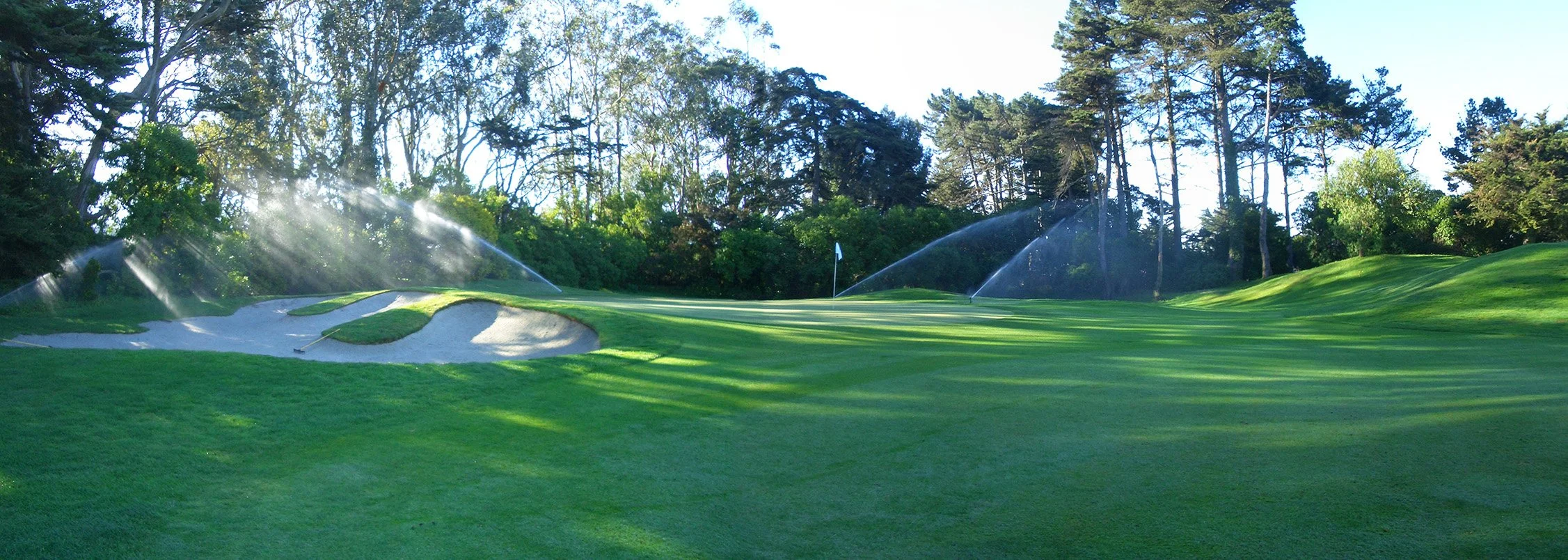 Step 10: The Design and Installation of the Irrigation System