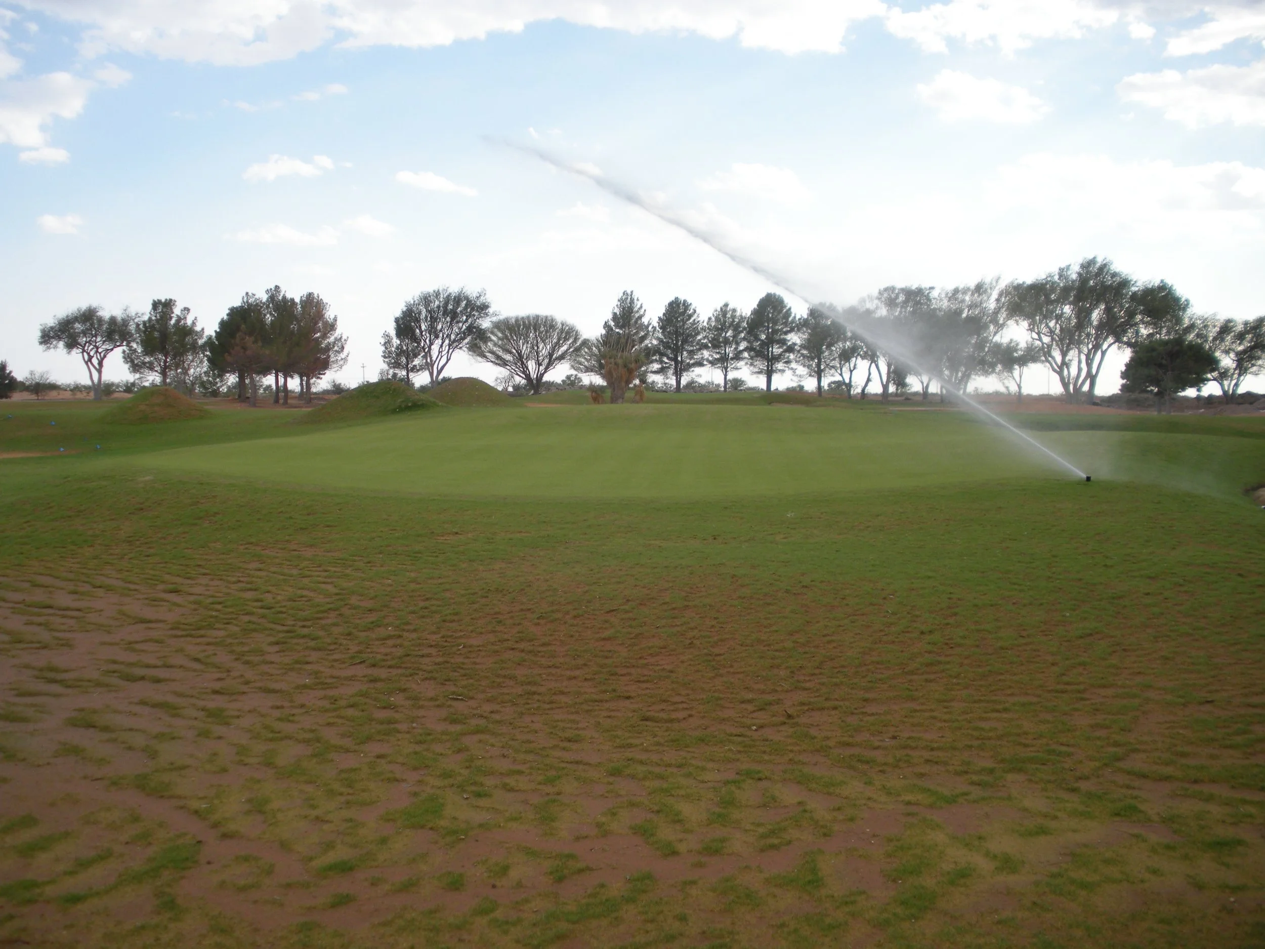 Step 17: Grassing, Grow-In, Landscaping, and Turf Nursery