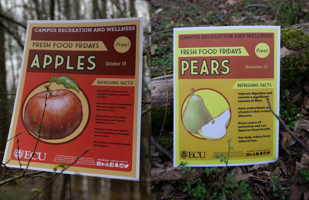 Apple&Pear.png