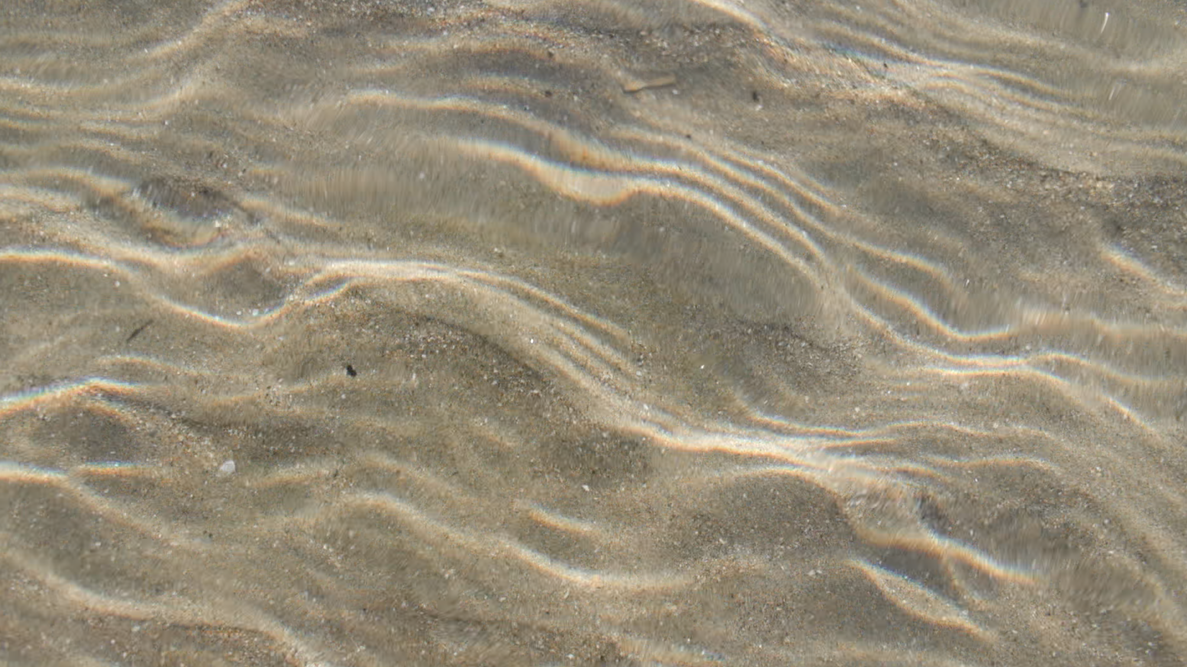 Sand.png