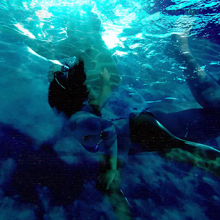 Mysterious looking creatures swimming in a sunlit body of water
