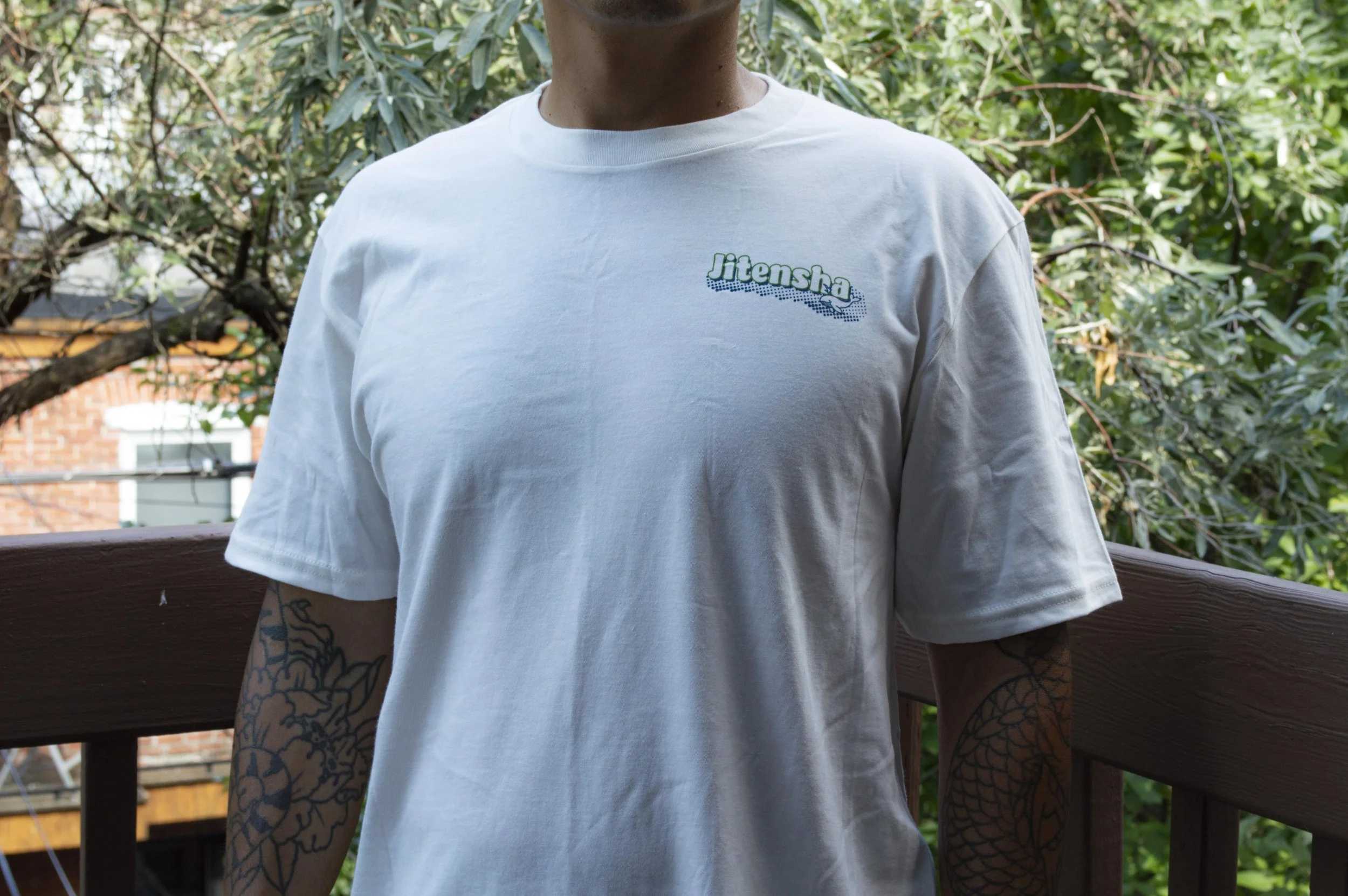 TShirtDavid3.jpg