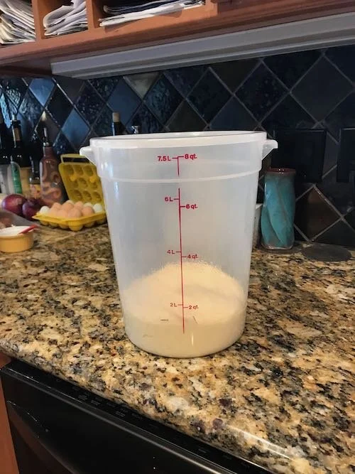 3. Let dough rise until doubled in size