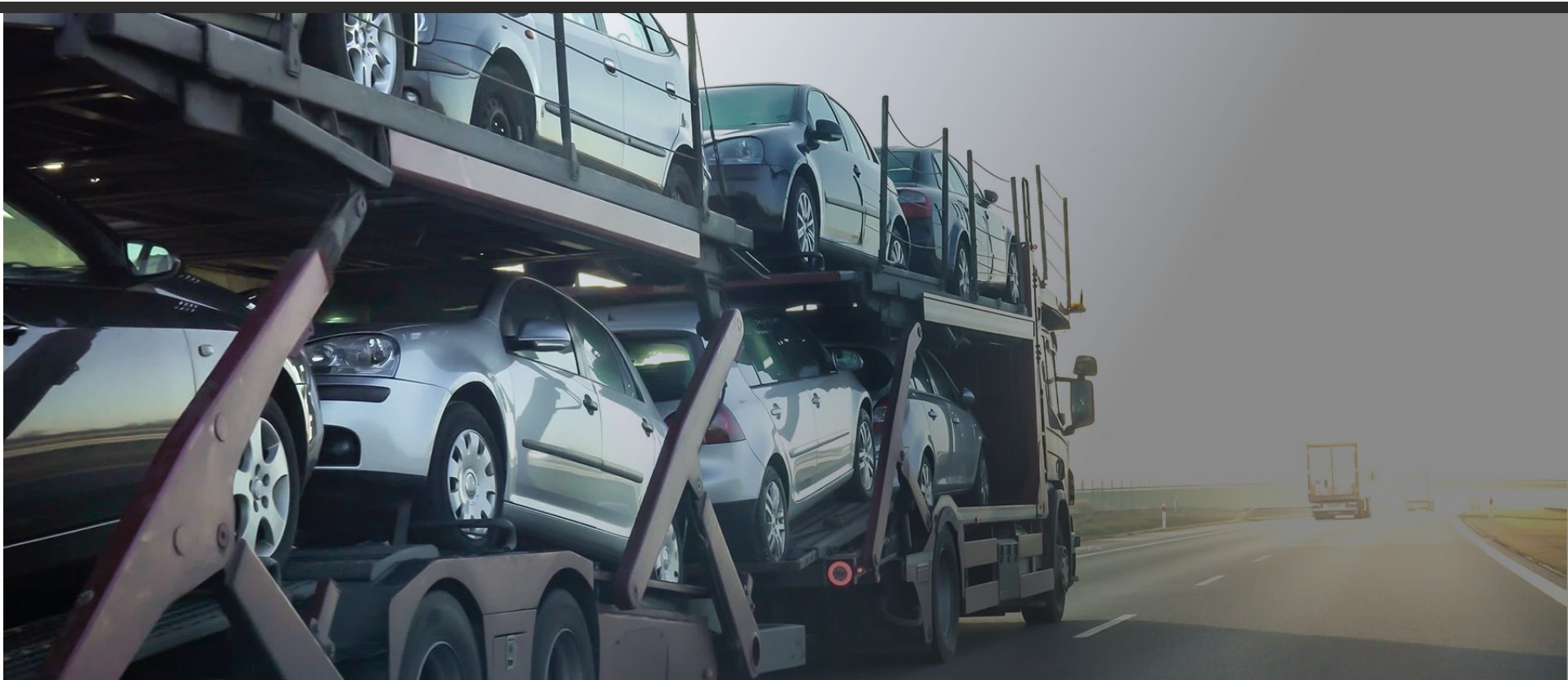 Tru Logistics | 5 Star Rated Auto & Freight Shipping