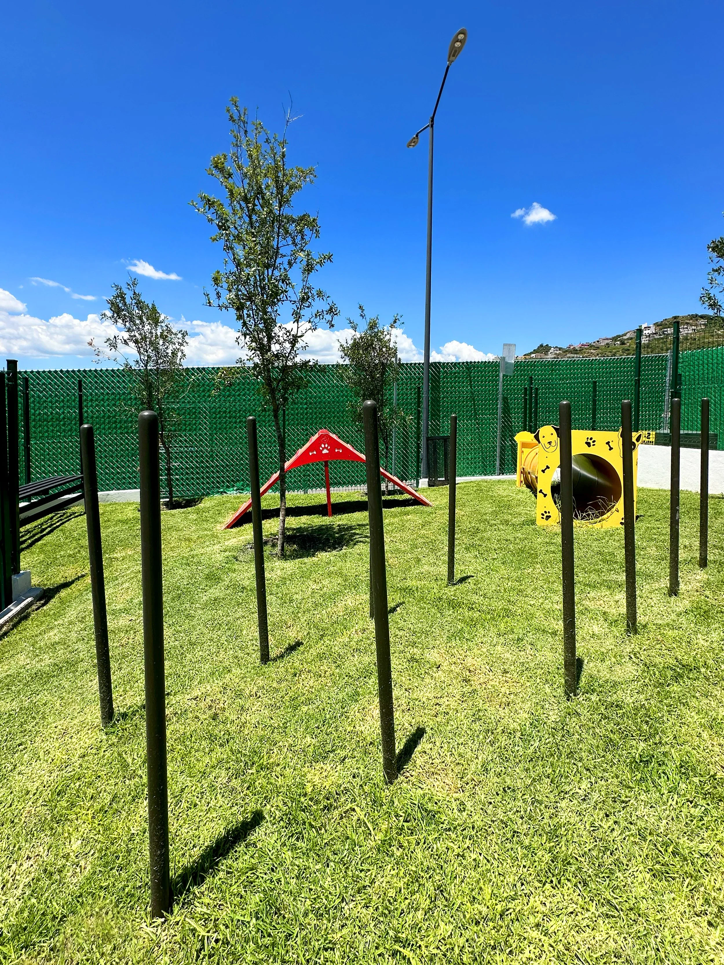 Pet Park 06.jpg