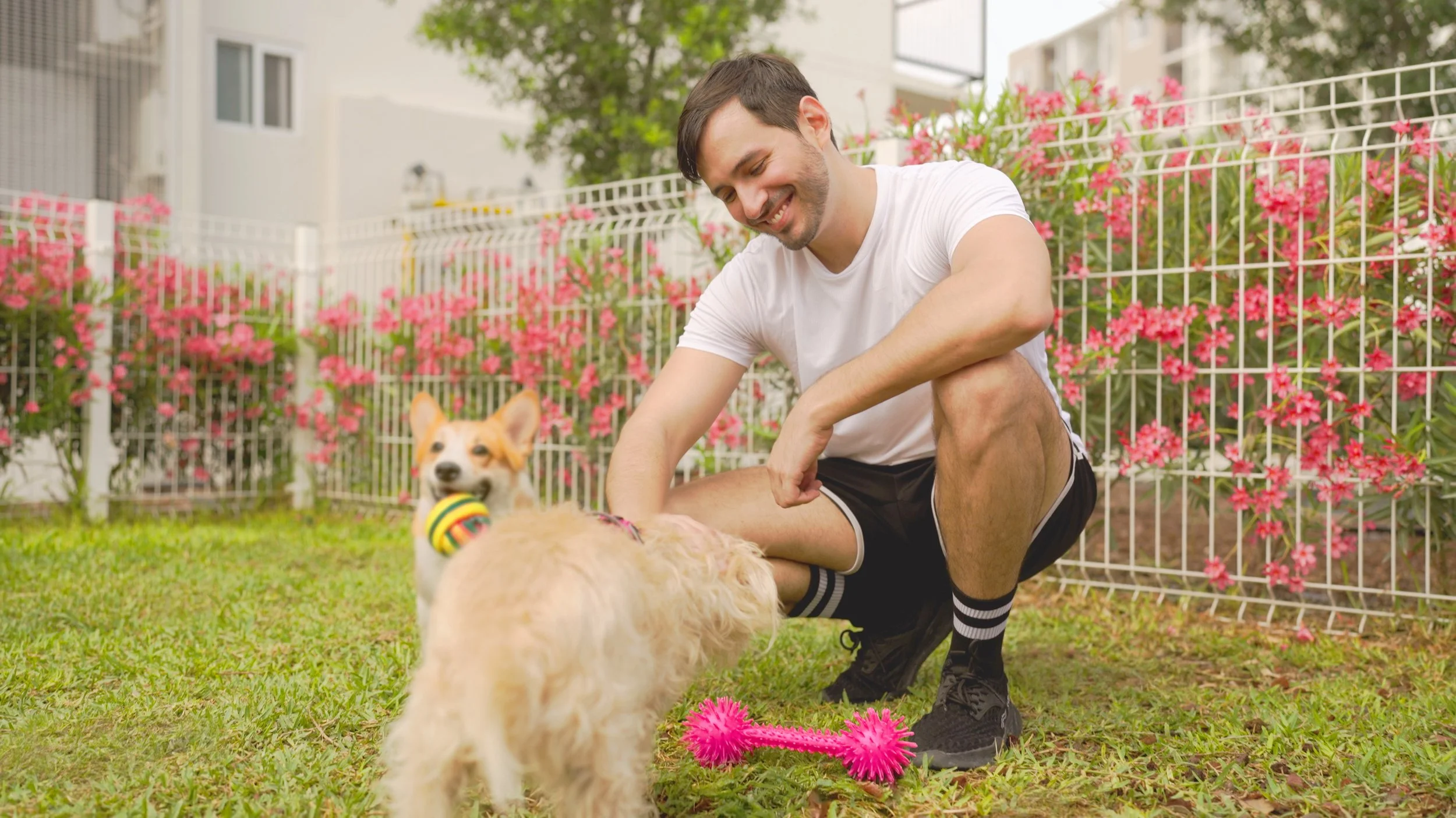 Santa-Fe-Living-Pet-Park-Mision-Obispado.jpg