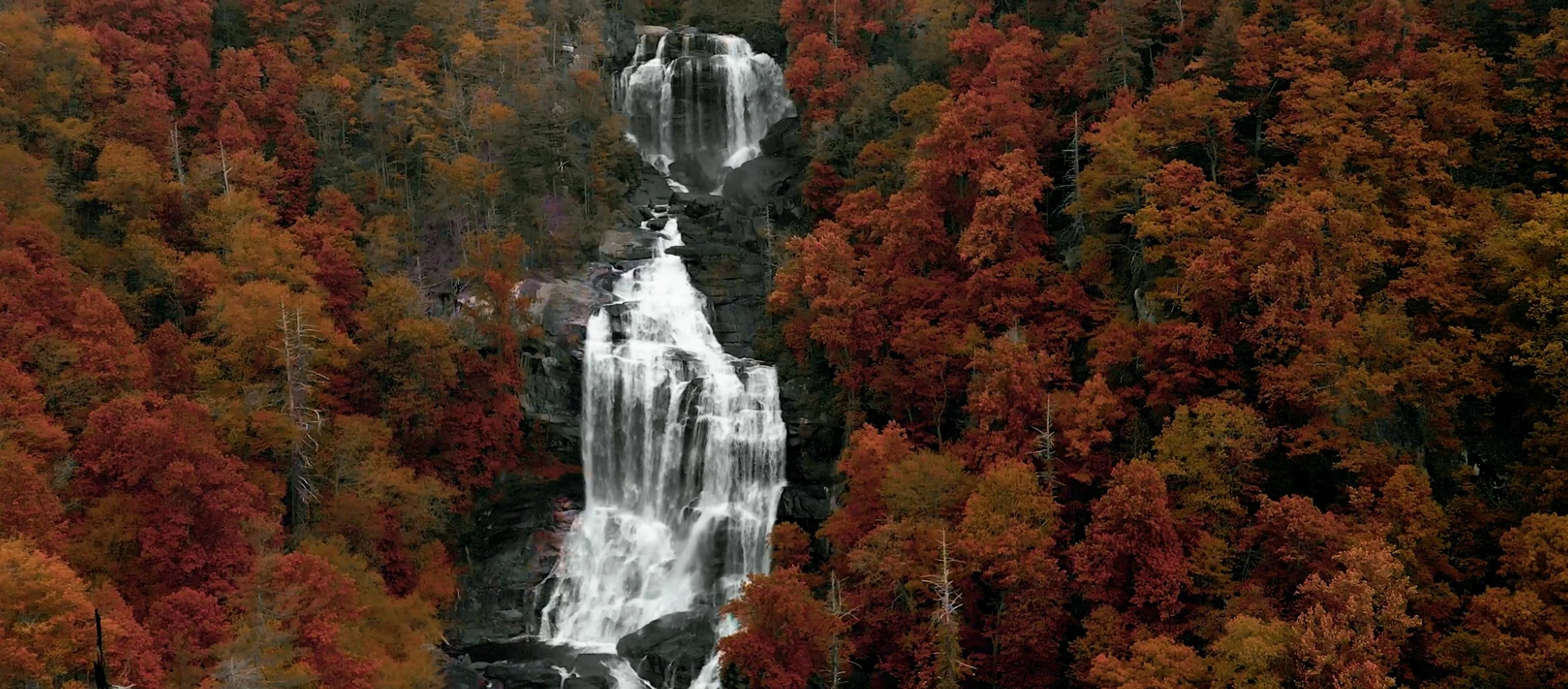 A drone photograph of Whitewater Falls in Cashiers, NC is cascading down a rocky cliff surrounded by colorful autumn trees with red, orange, and yellow leaves.