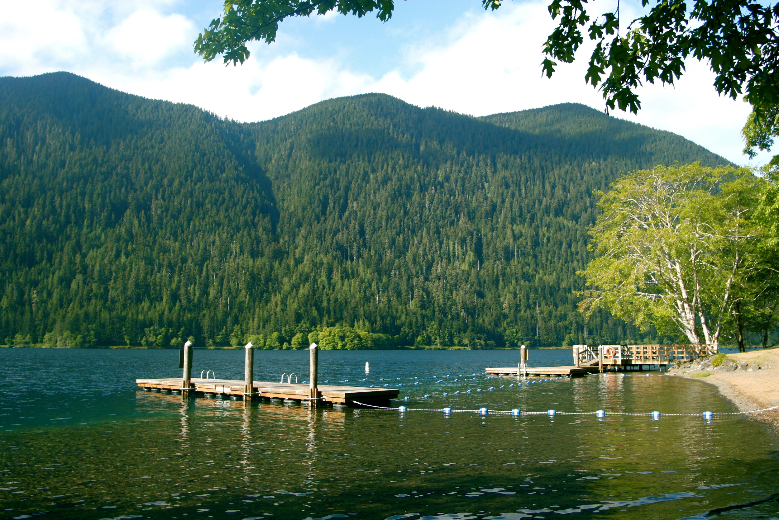 The best week of the year? 