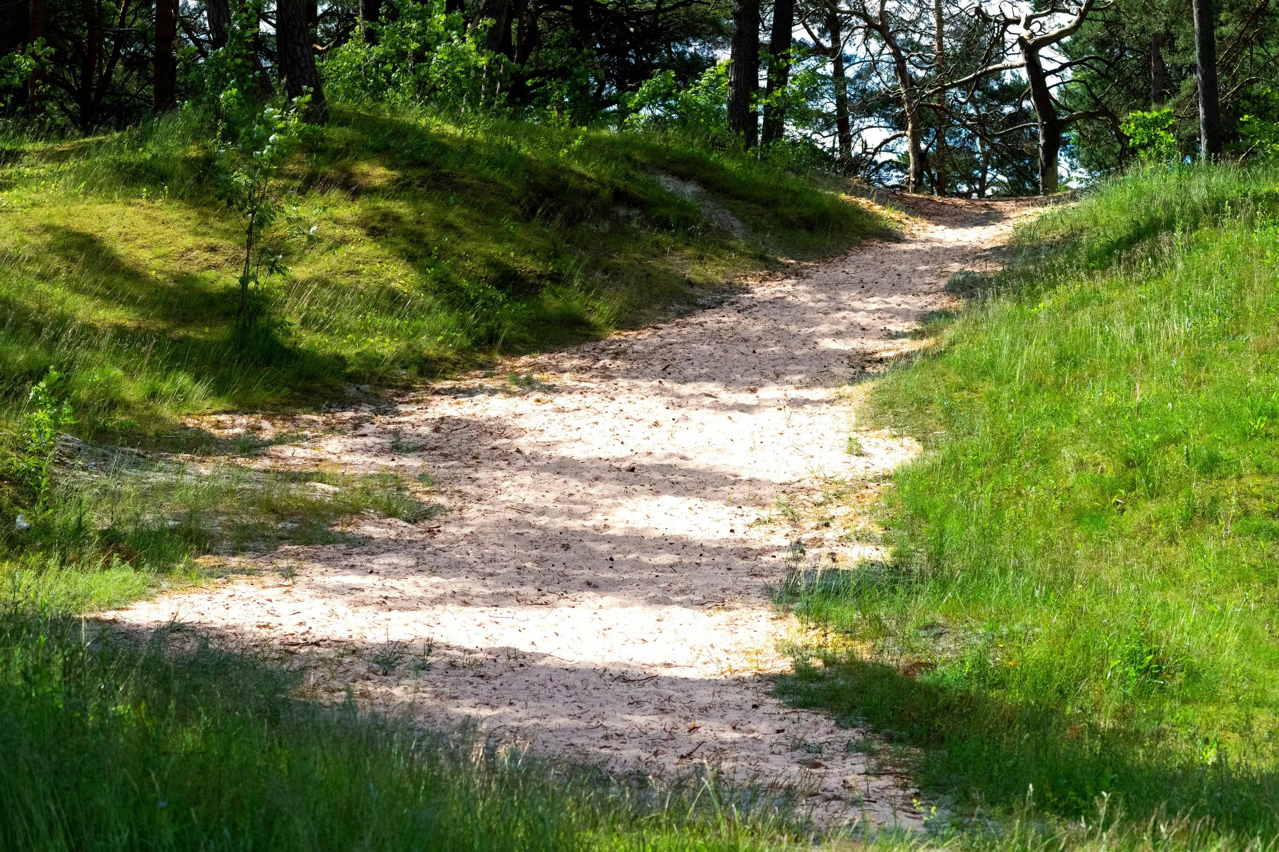 The market's bumpy road 