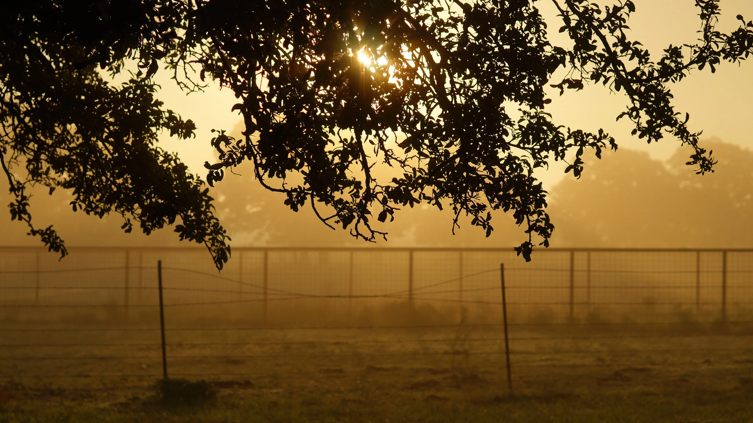 Lumedia Musicworks presents Welcome to the West                  