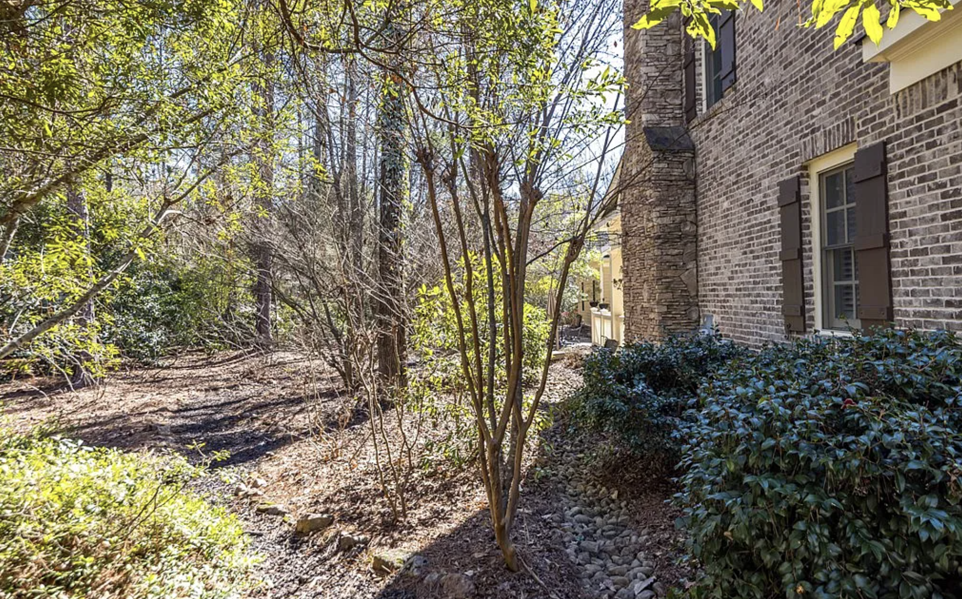 Screenshot 2026-02-19 at 7.16.28 PM.png