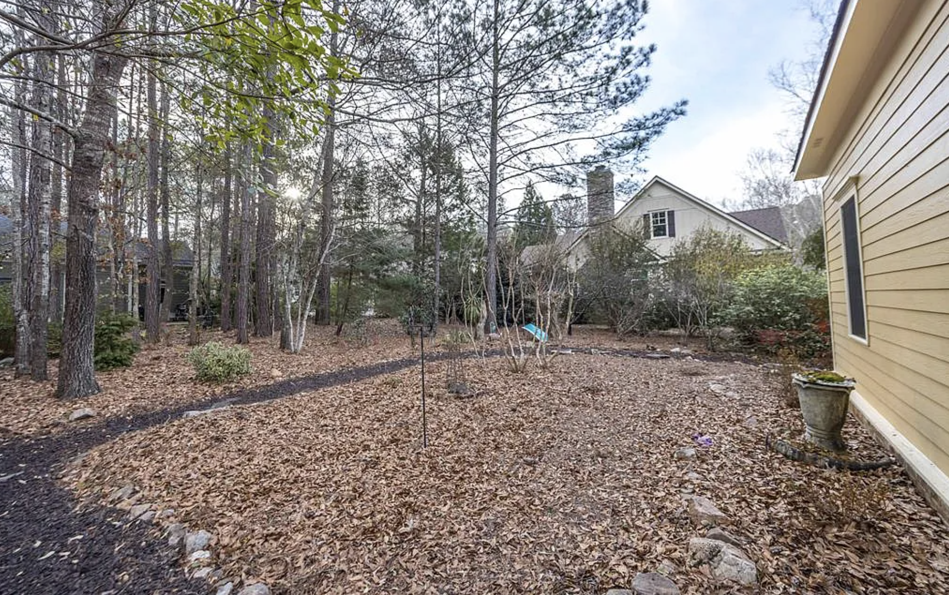 Screenshot 2026-02-19 at 7.16.40 PM.png