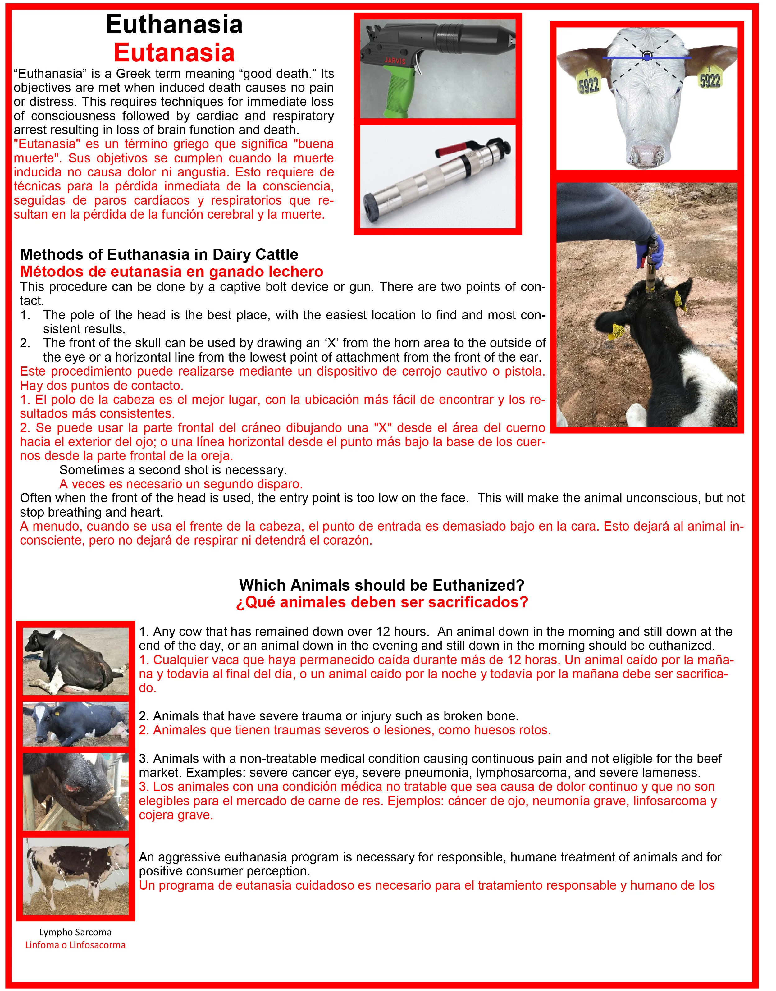 Euthinasia Poster.jpg