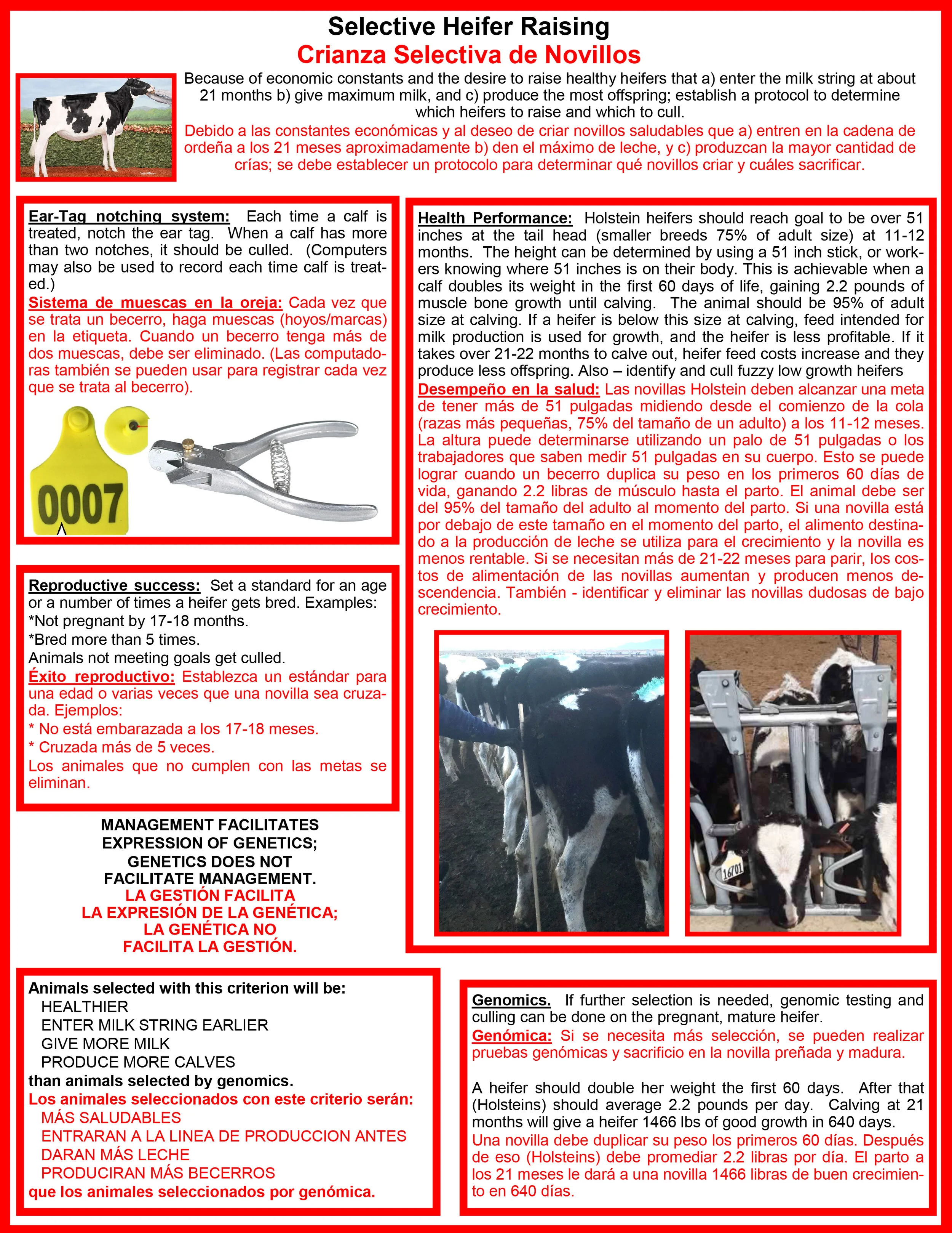 Selective Heifer Raising.jpg
