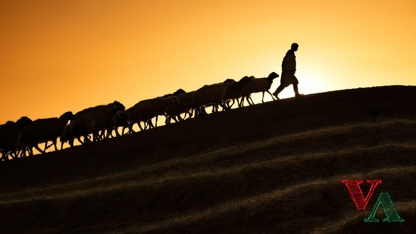 QURBAN 2025 (2).jpg