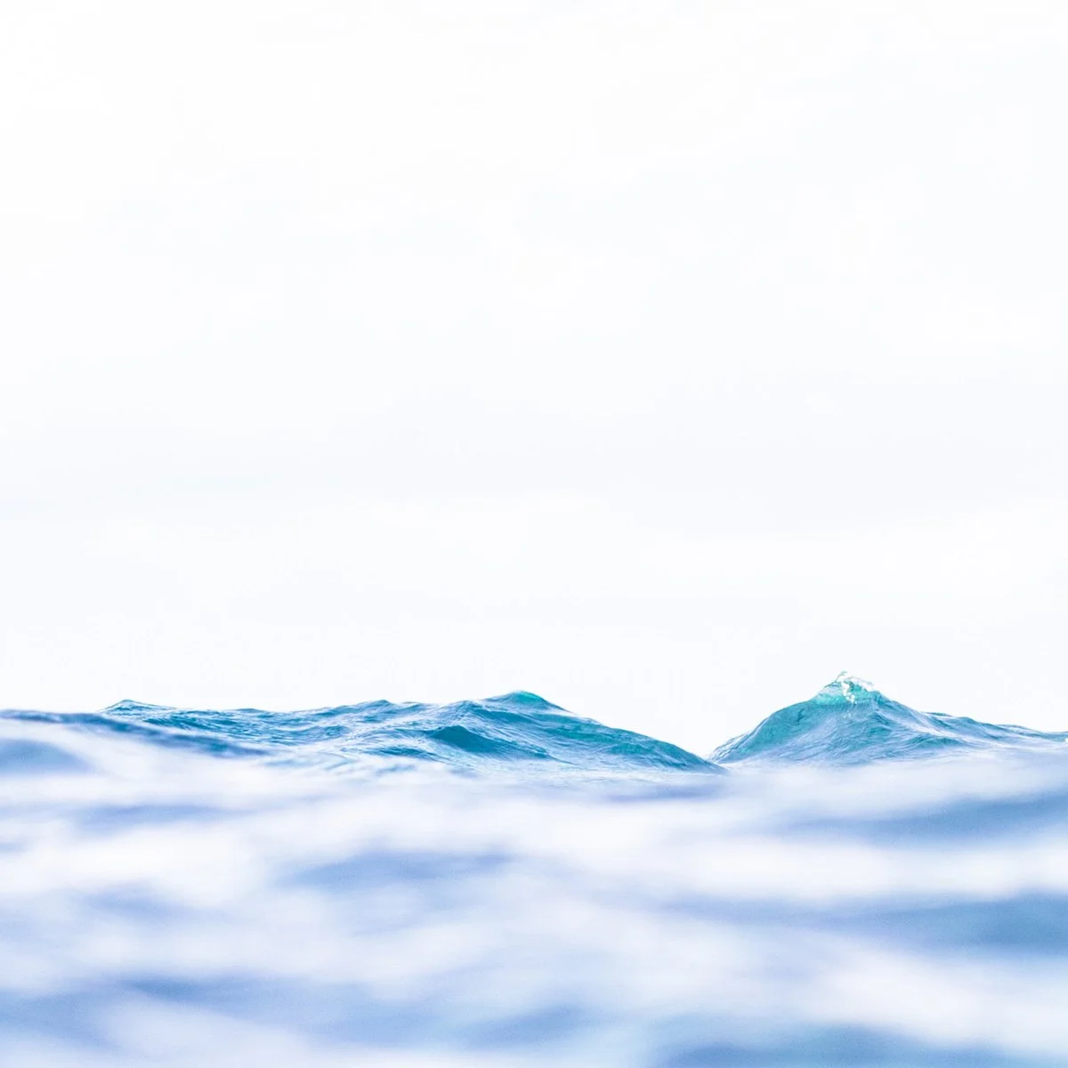 Debra Was a Diver 1x1.jpg