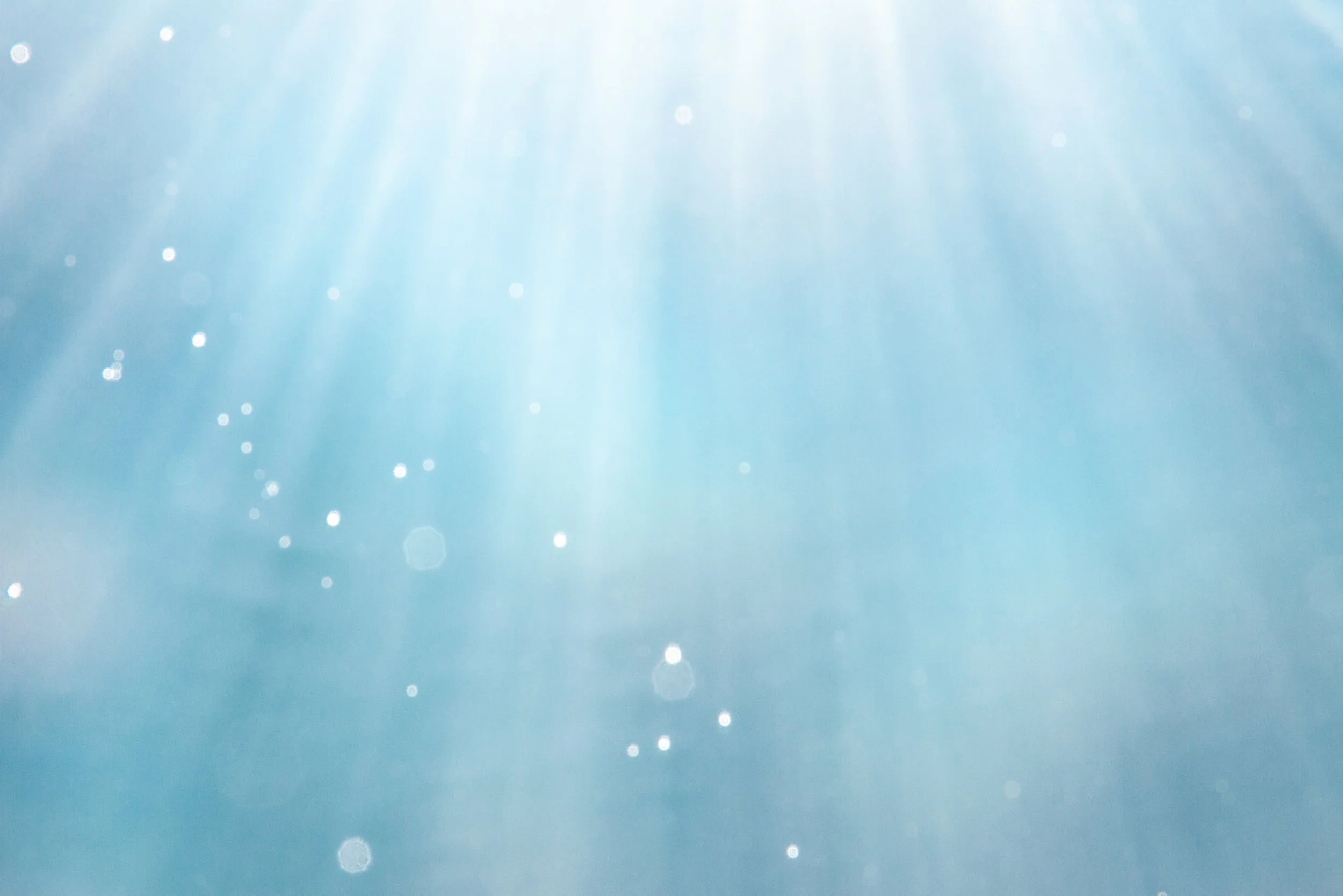 ASCENSION I.jpg