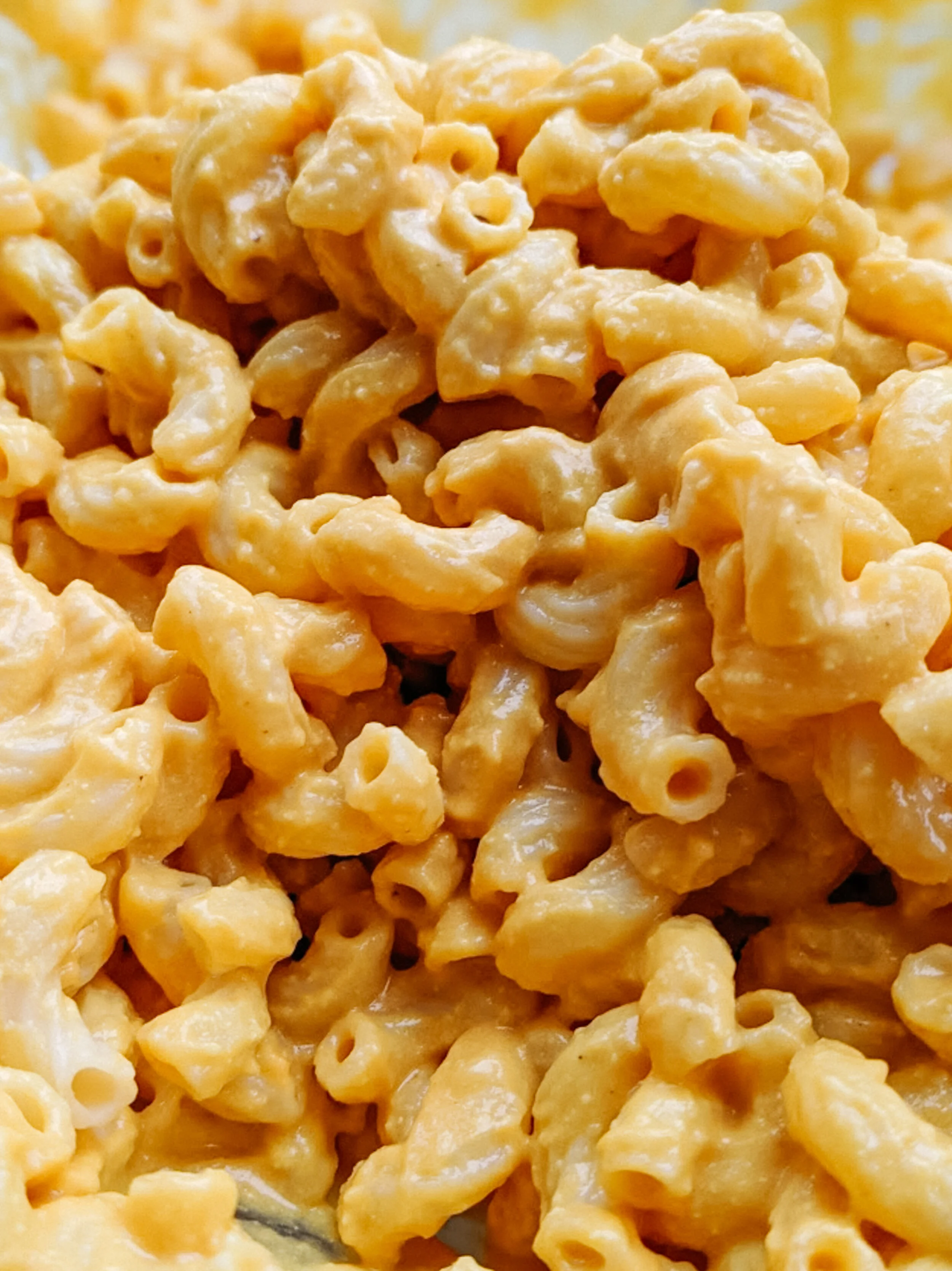 Cashews are Magic - Replace Dairy - Milk, Sour Cream, The Best Tomato Sauce, Cesar Dressing, Mac and Cheese