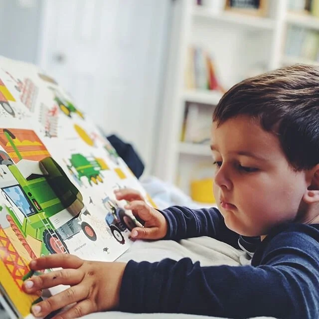 If you have a truck lover, I highly recommend this book. It's the most interactive lift the flap book I've come across. It would make an awesome toddler present, too. Just saying. My 2.5 year old has had it for a year and has yet to tire of it. Altho