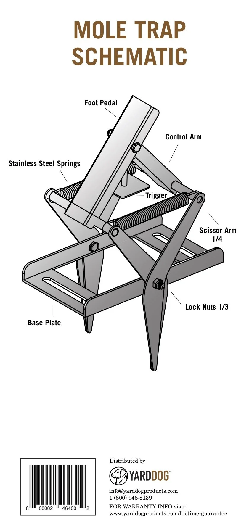 Back - Box Image.jpg