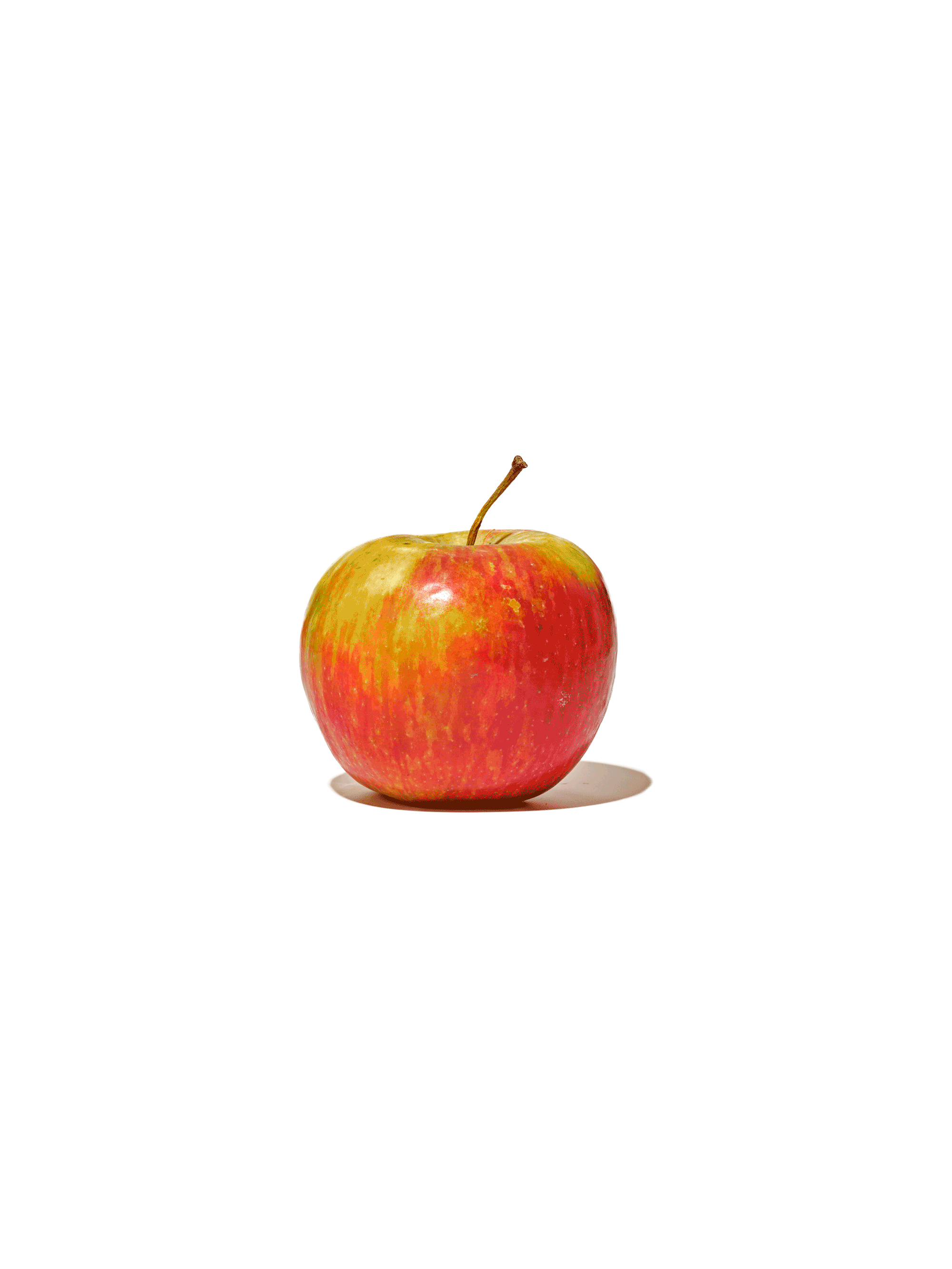Apple-Bite.gif