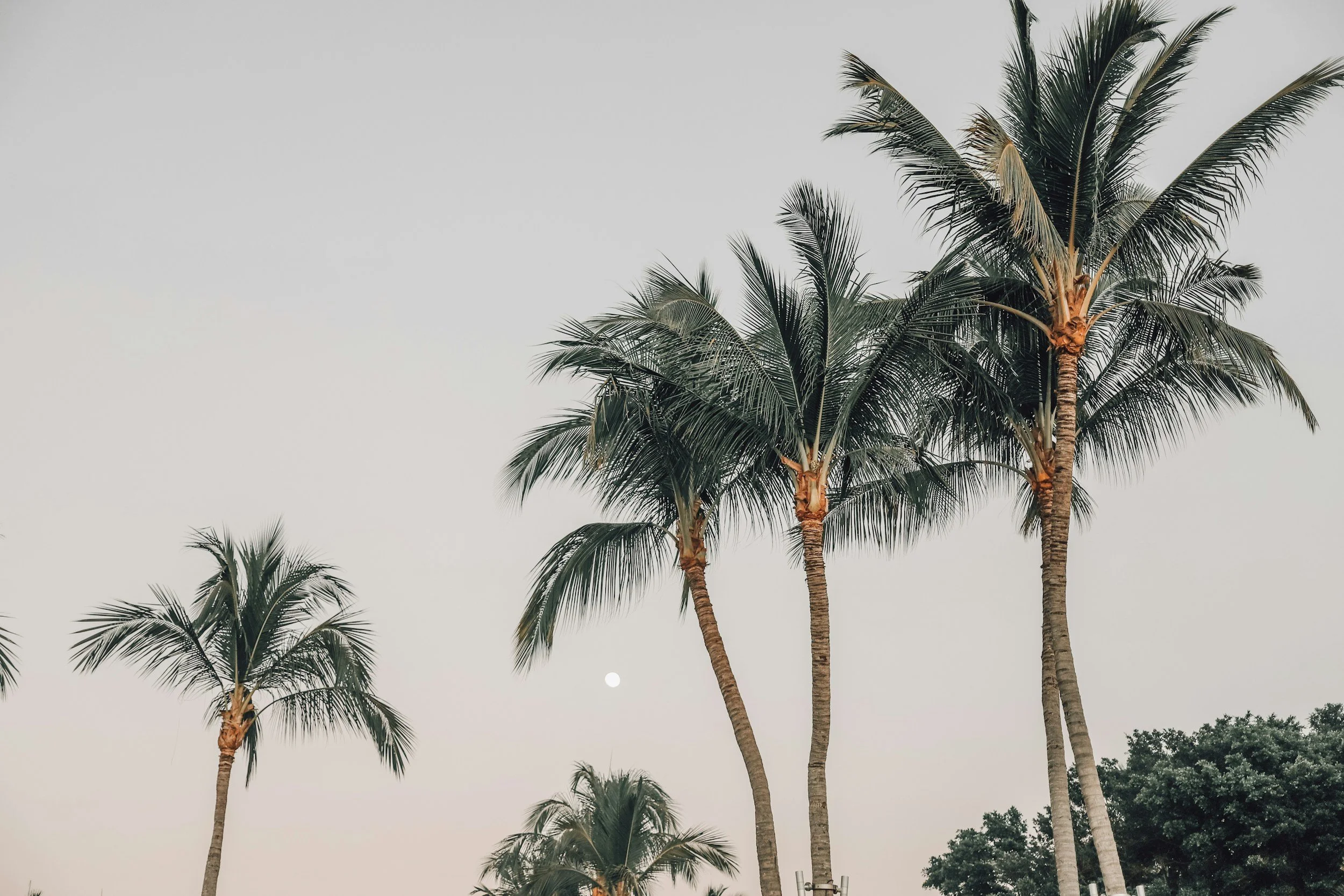 unsplash-image-SSrNi9jgdHM.jpg