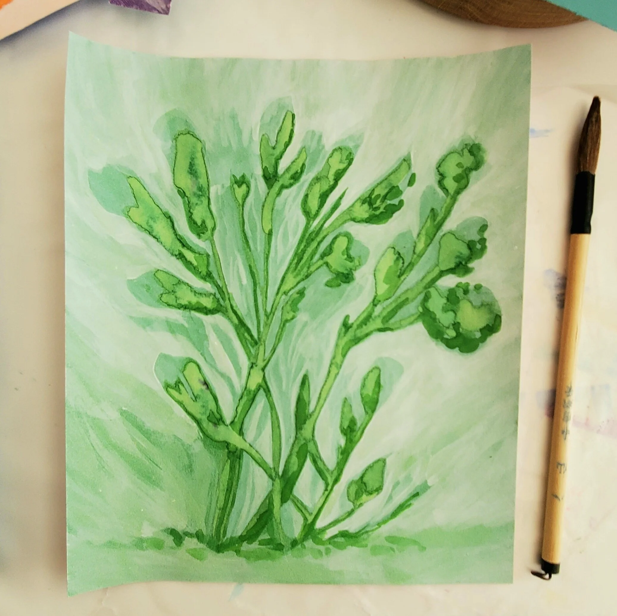 Instagram down...I start a BLOG