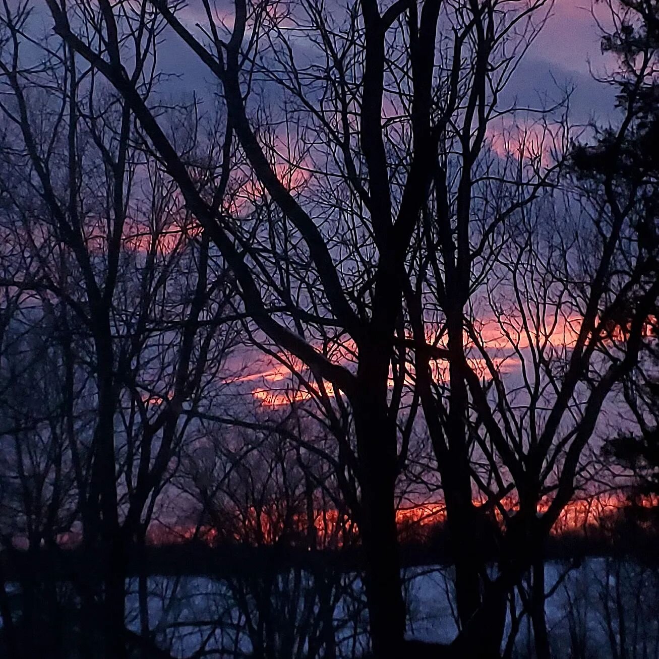 That winter color shows up in the evenings! Two things you will also see in my artwork, beautiful colors and natural, organic lines. How about this sunset and those trees though? I can't tear myself away. I've been known to chase sunsets and pull ove