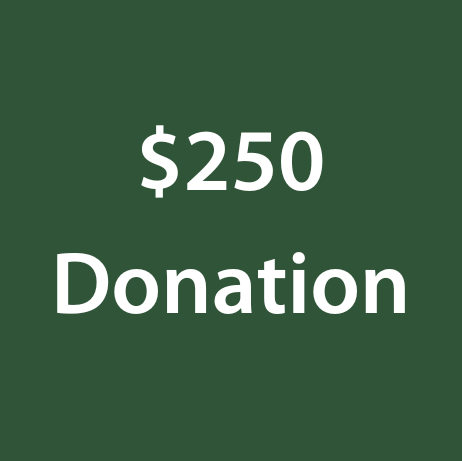 $250.png