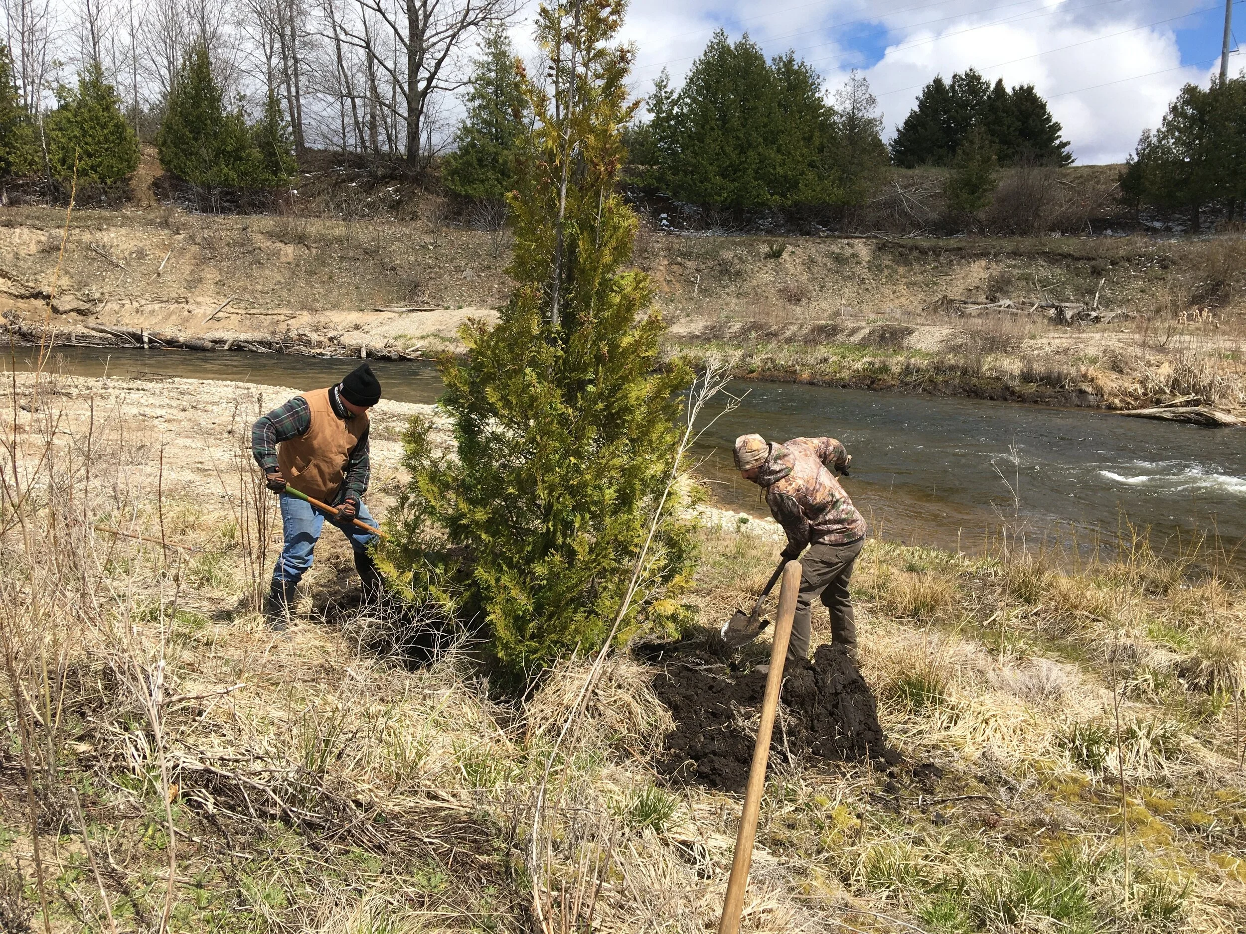 NER Arbor Day Planting 