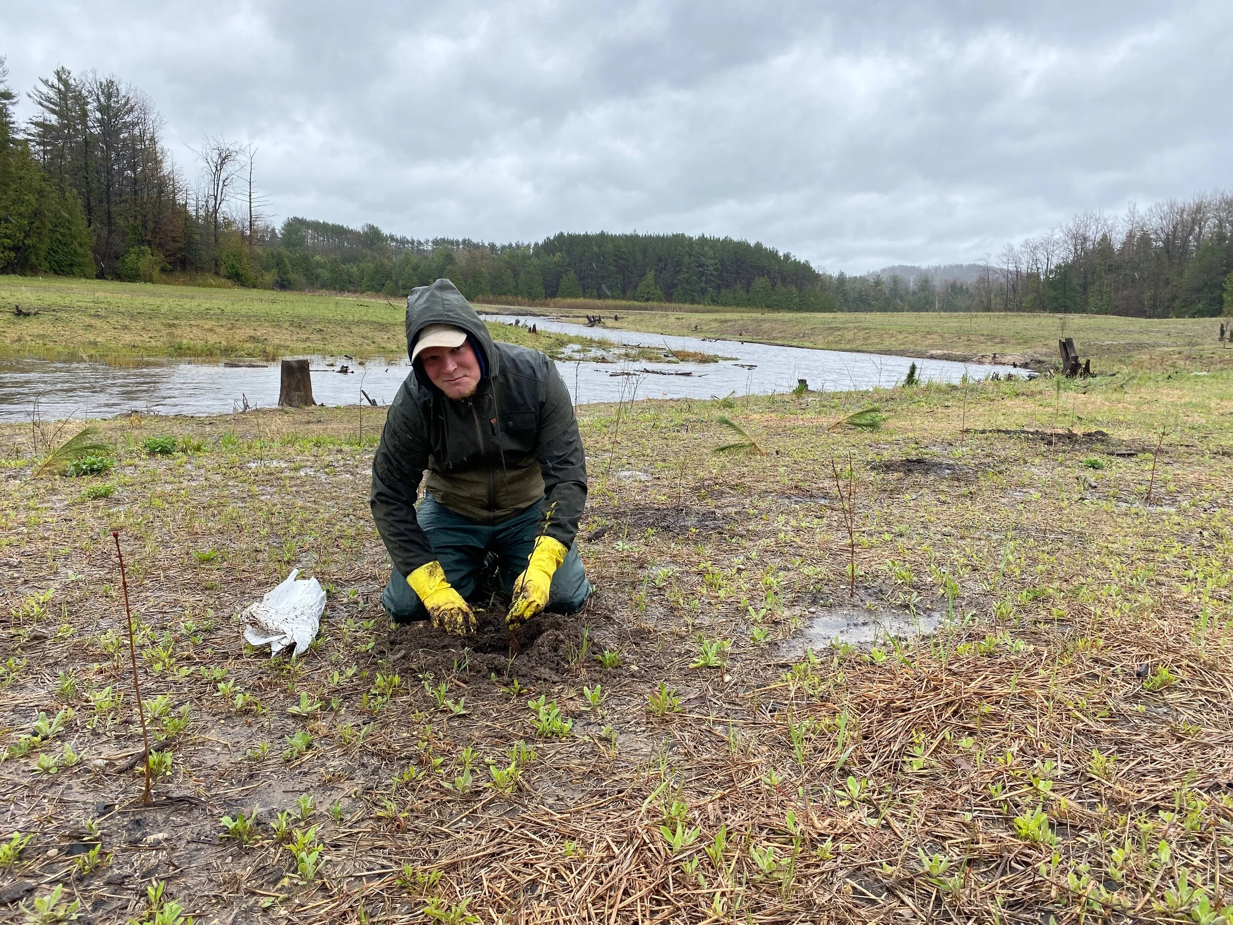 NER Planting Workbee