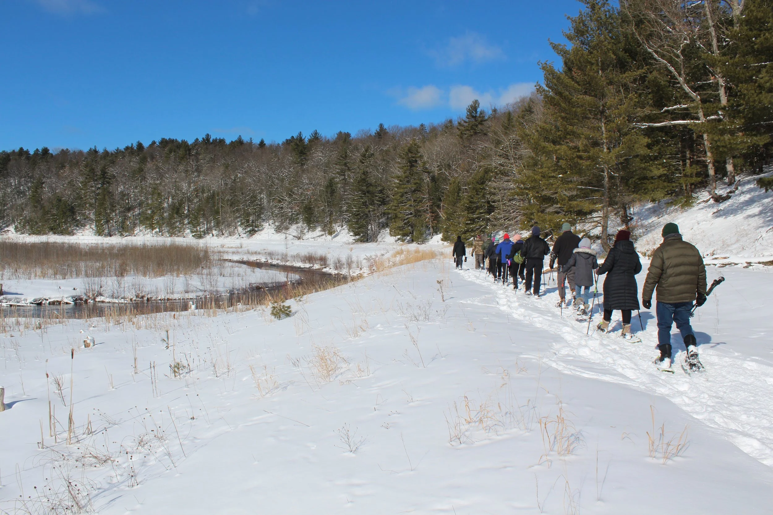 Guided Winter Hike - Brown Bridge Quiet Area