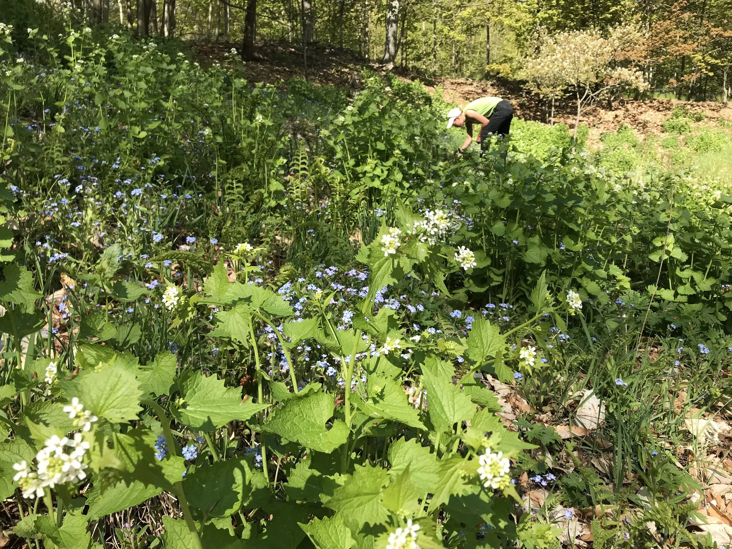 Benzie_Tank HillGM_5.18.2021_EC 2.jpeg