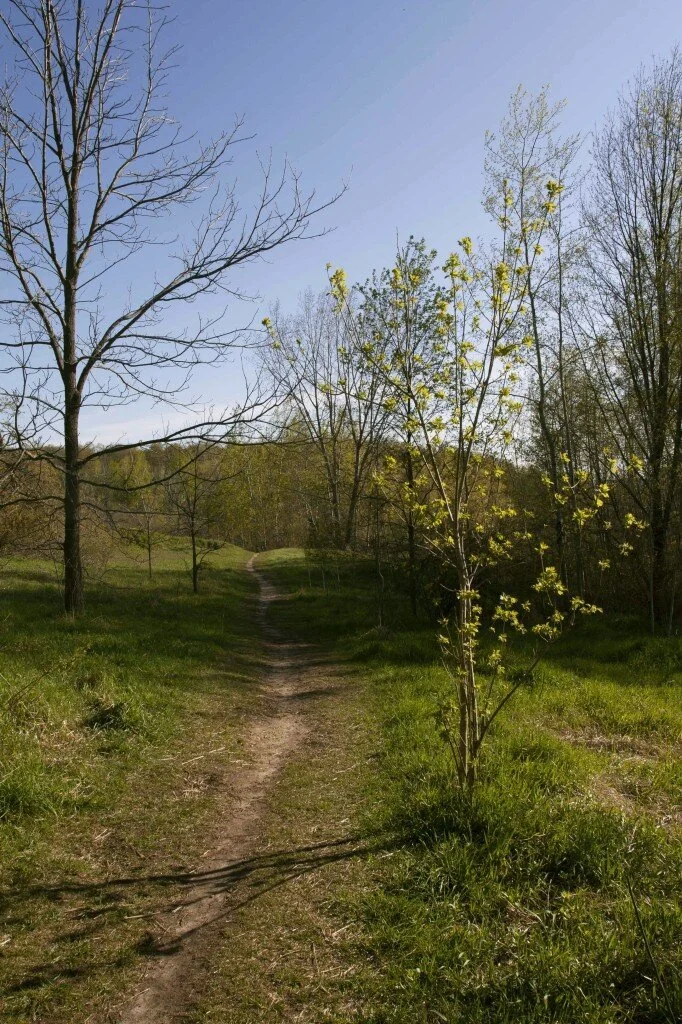 Community Hike: Commons Natural Area - May 24th