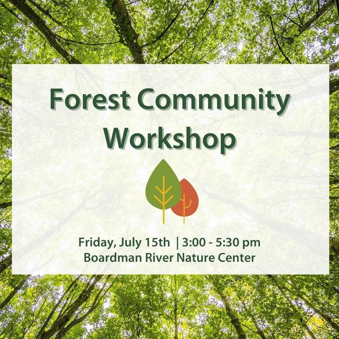 Forest Community Workshop