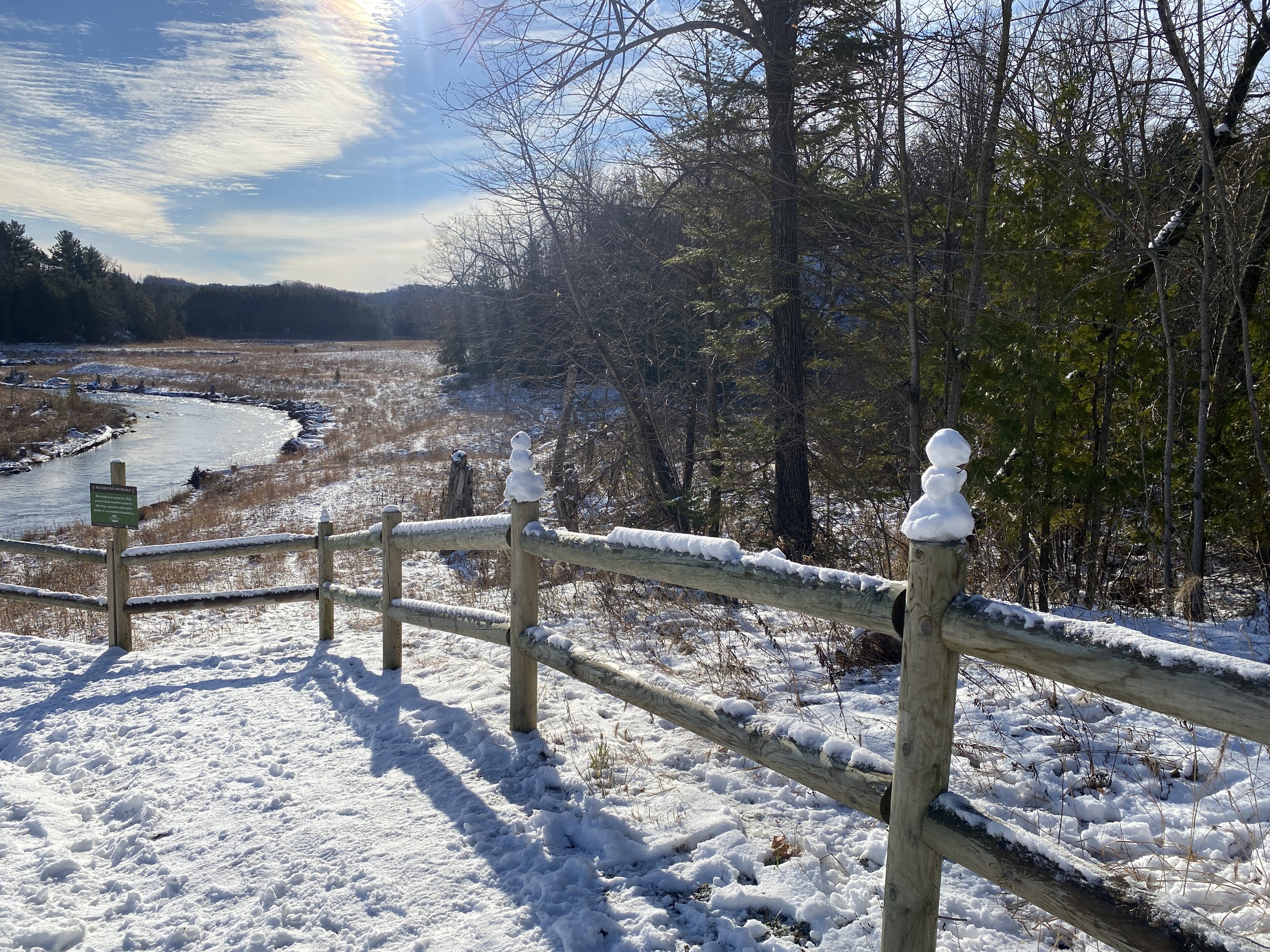 Winter Guided Hike at the Natural Education Reserve 