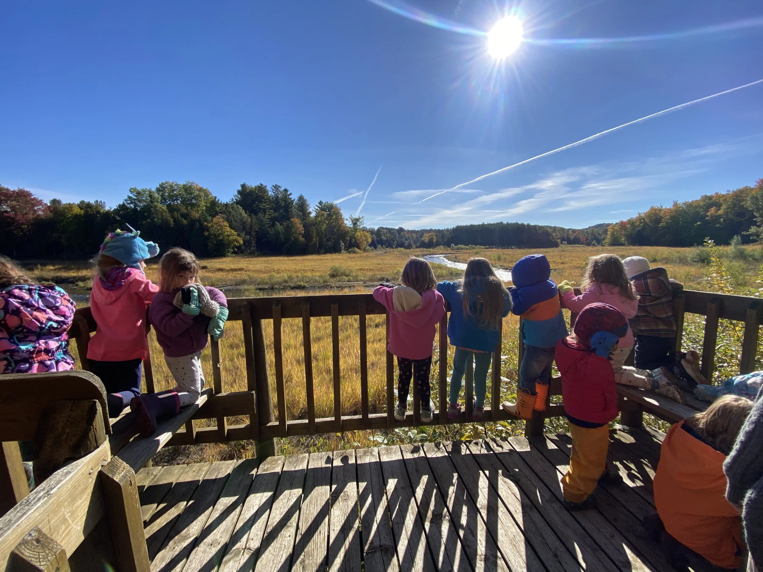 Fall Knee High Naturalists - Week 3 (Monday)