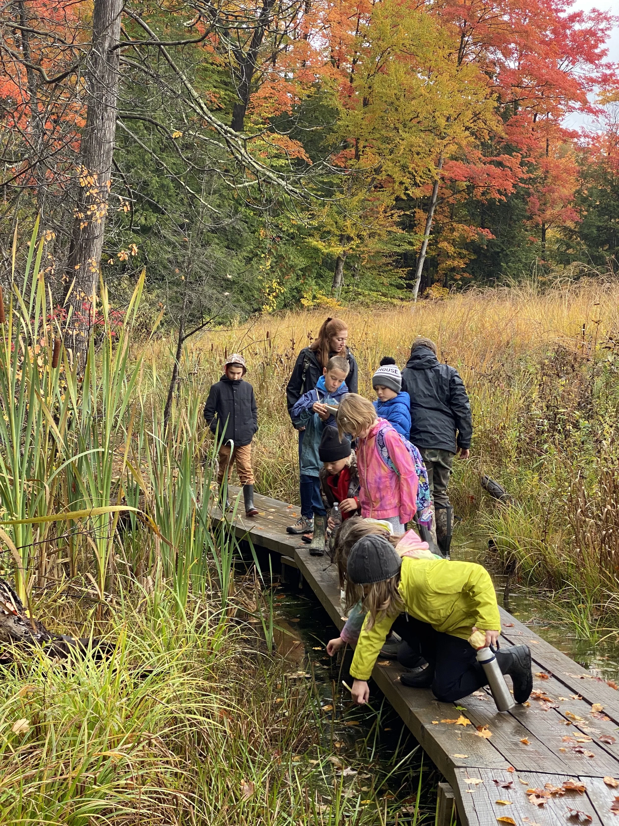 Fall Homeschool - Week 3