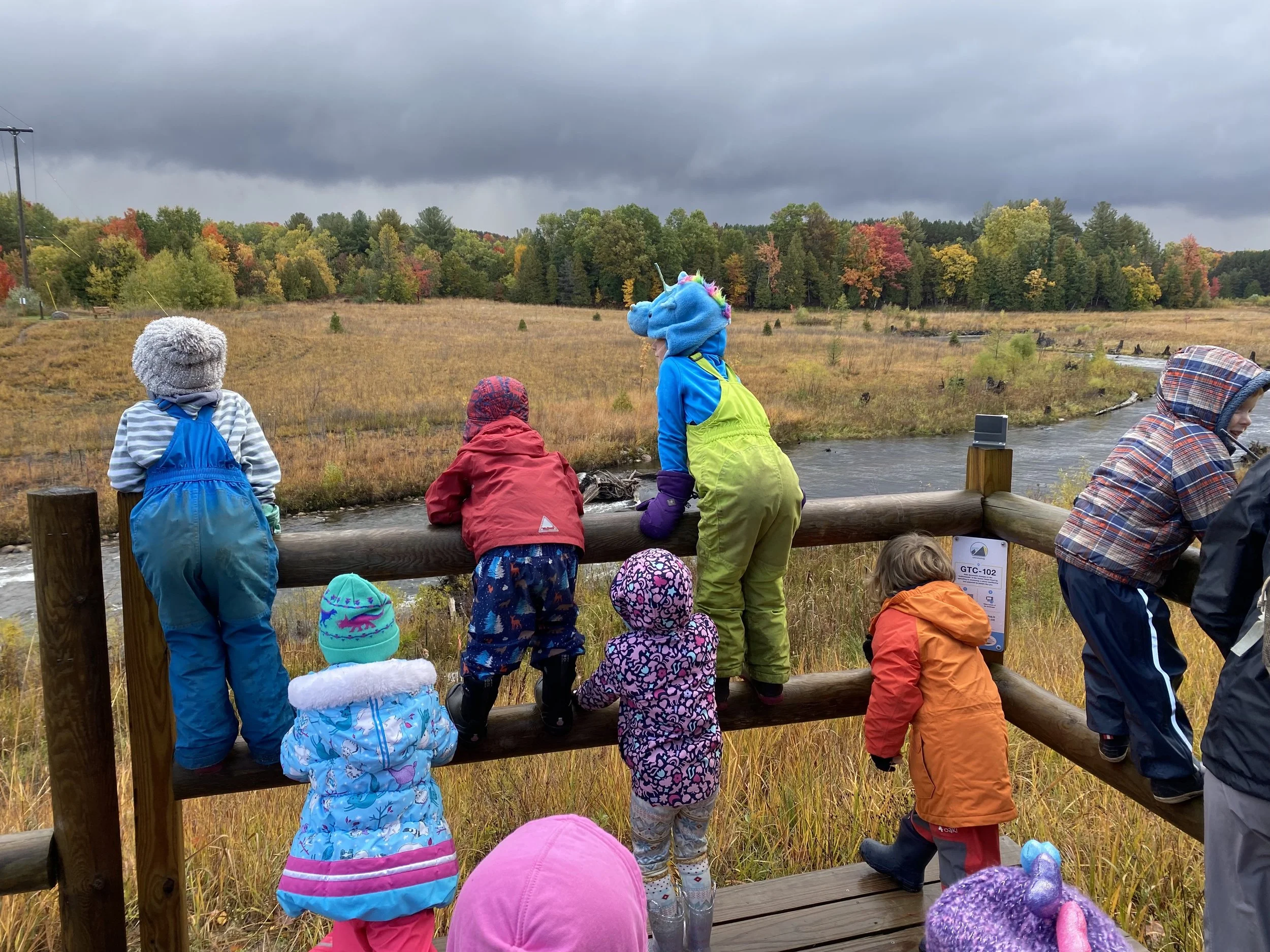 Fall Knee High Naturalists - Week 4 (Monday)